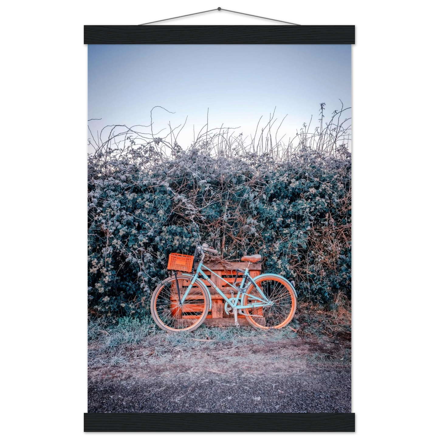 8ff25c81-4391-498d-bd2d-4a2ec7fb3cee