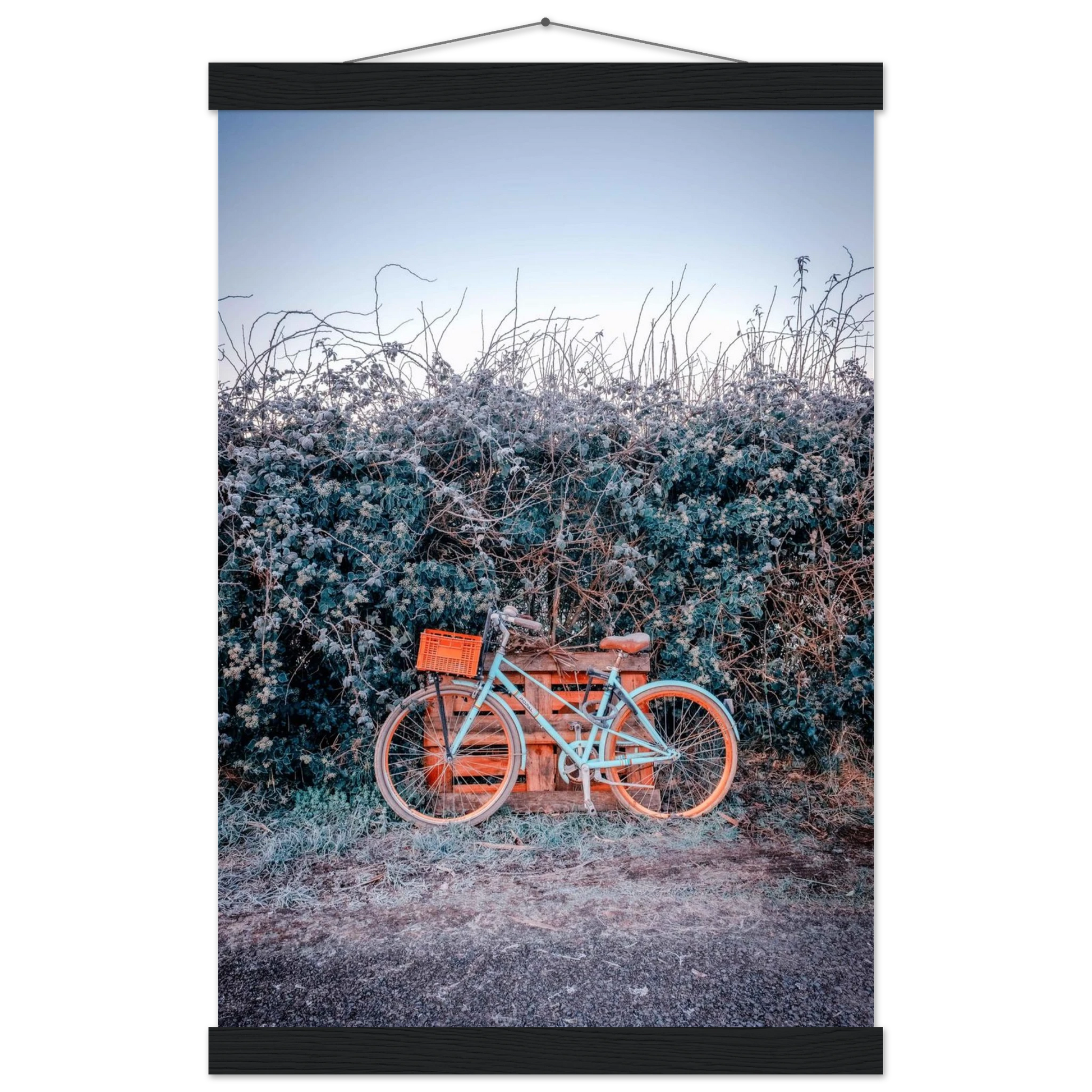 8ff25c81-4391-498d-bd2d-4a2ec7fb3cee