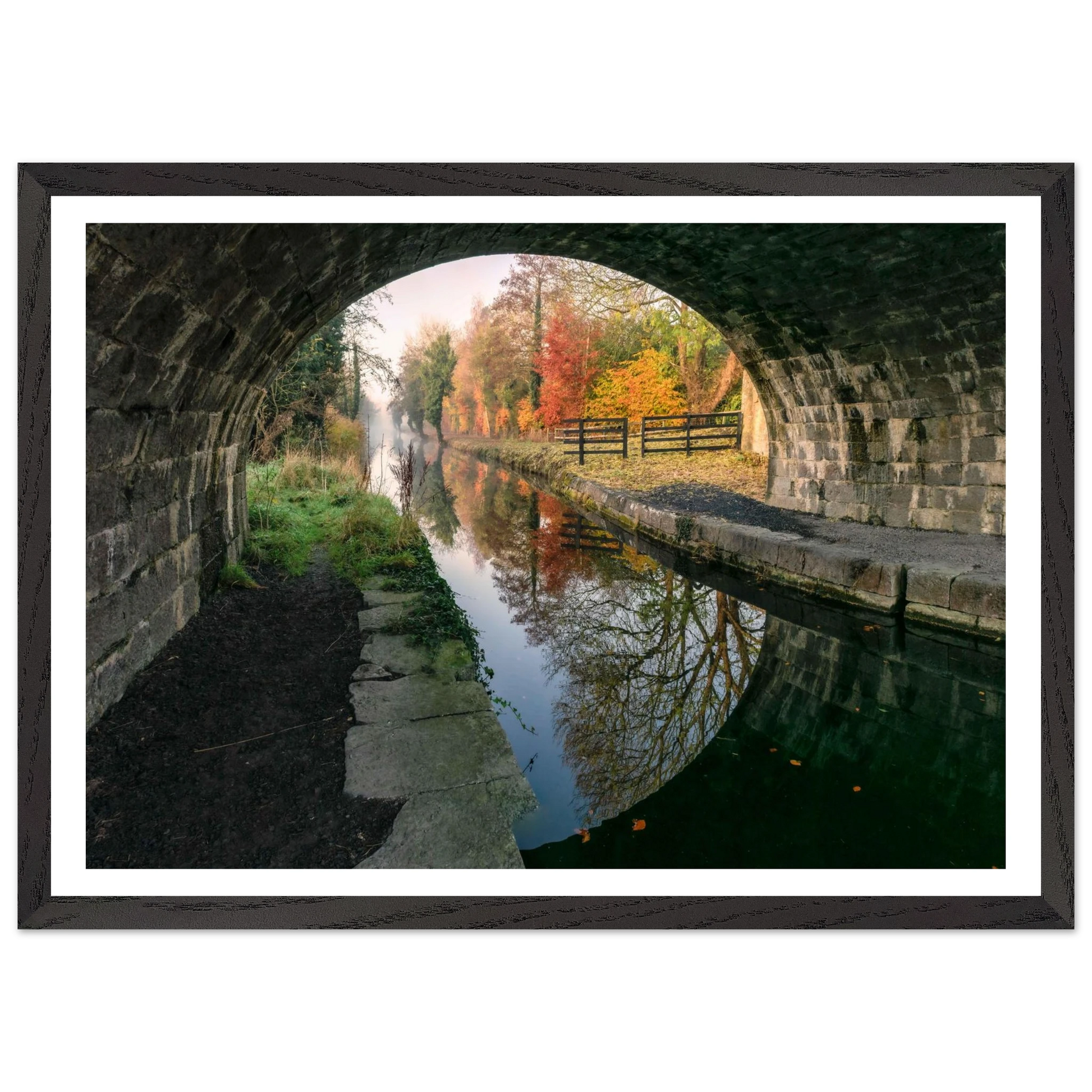 903a988f-28b5-48d0-9111-efc275a90be0