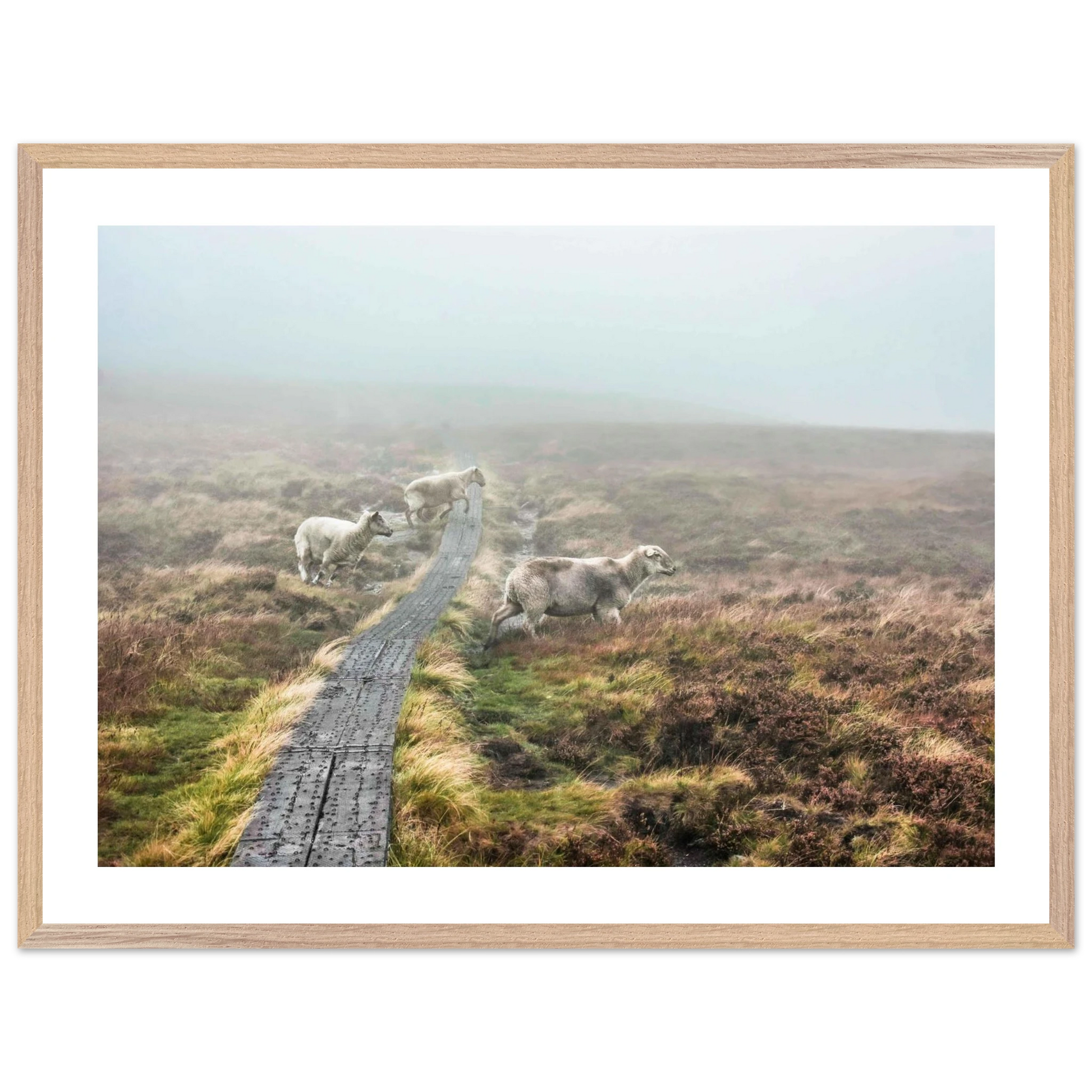 904d3a03-8a0a-41c0-81bf-73265a9fe16a