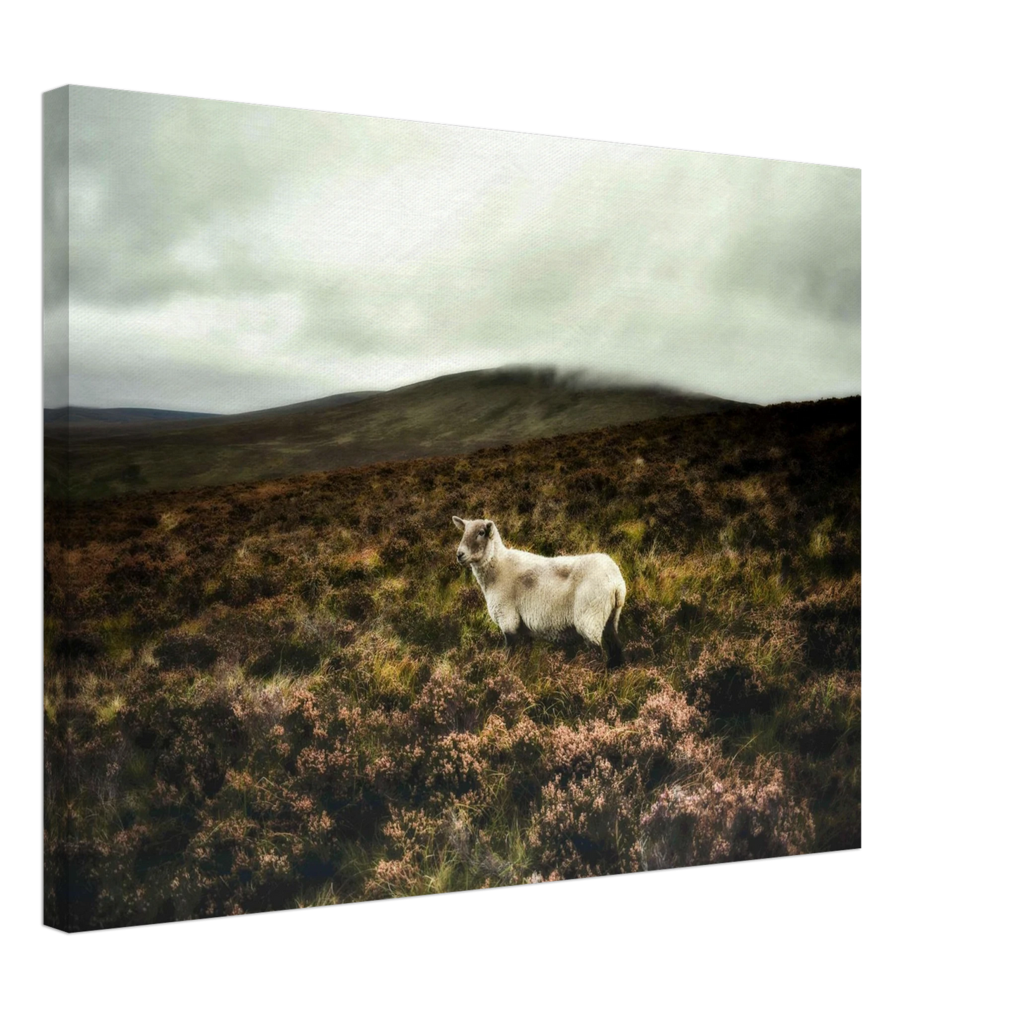 90622487-1edd-4912-a61e-9f1fef46ff23