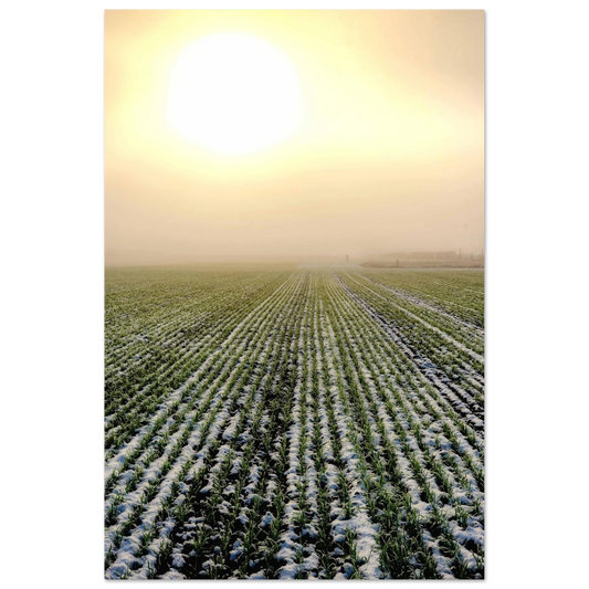 906c8559-20df-4eb2-8bbf-511606b062b0