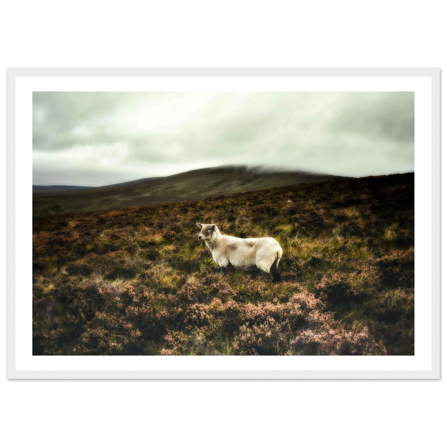 90aa665e-f5a3-460b-aefd-470c653bd5df