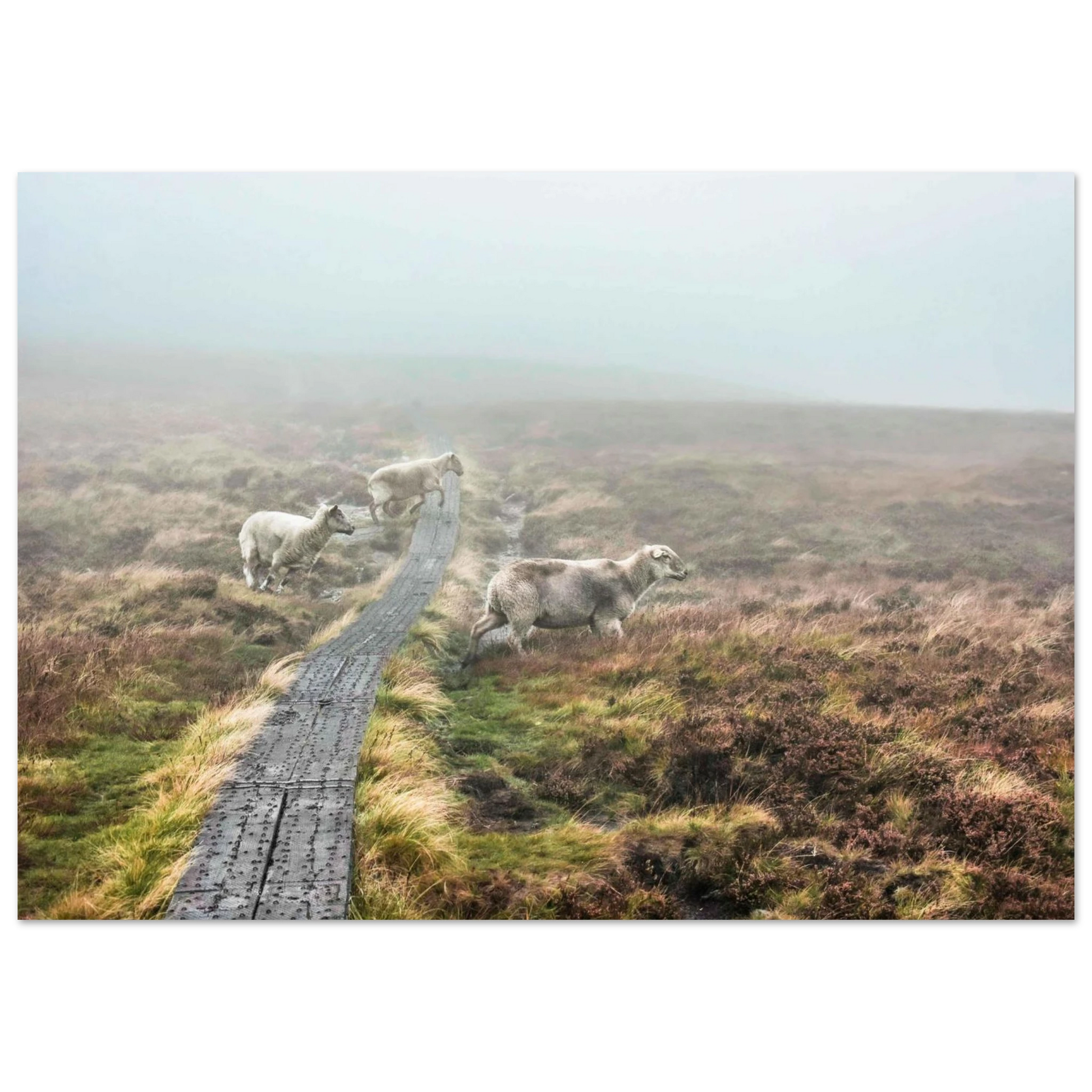 90ab7aad-242a-49dc-b679-7d209e3c6789