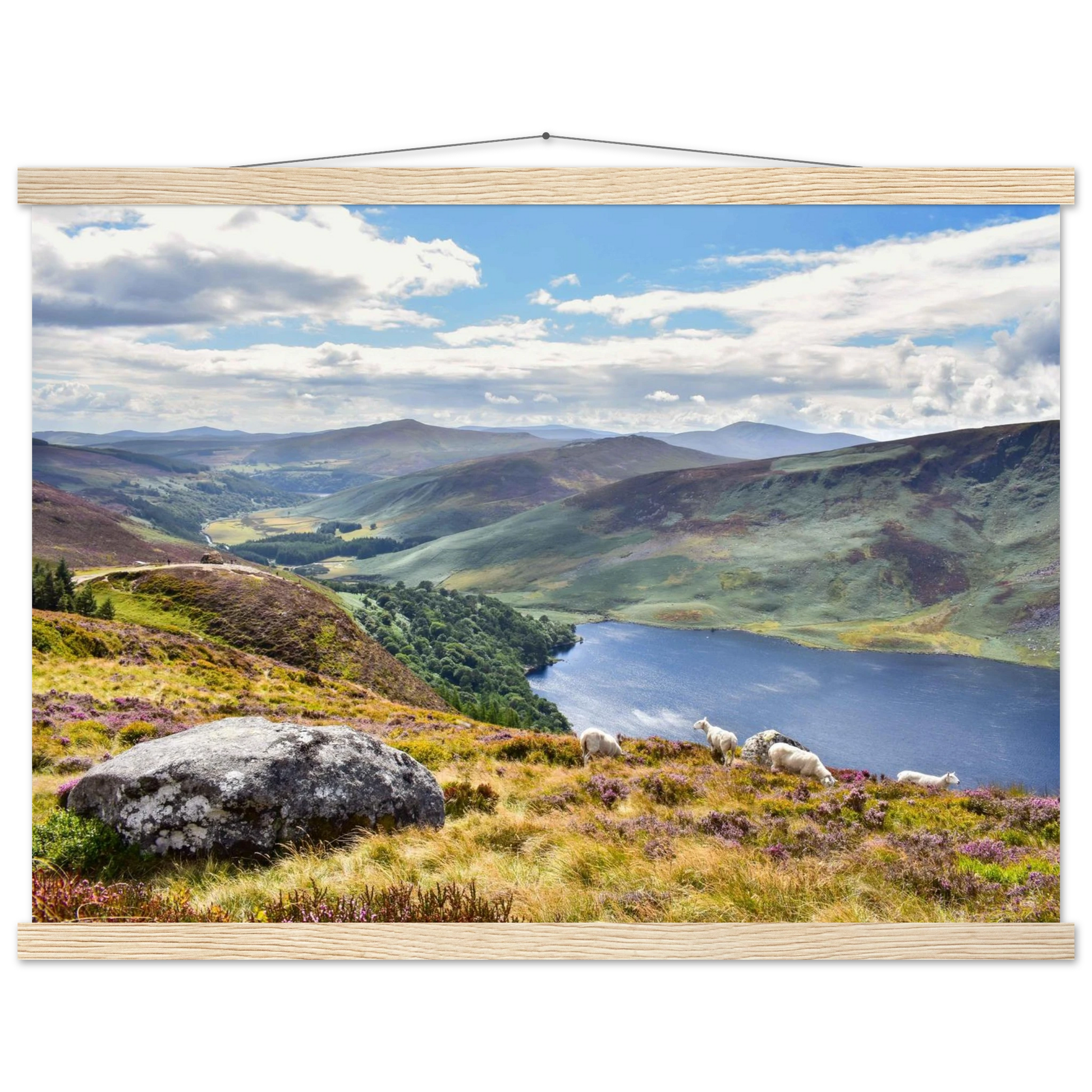 90e8d020-ebd5-48bc-b6a4-a60c9421b300