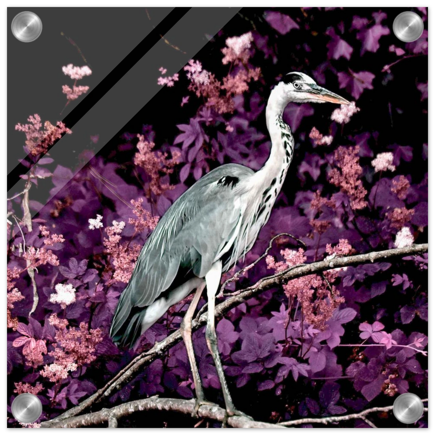 9121c20a-c794-49d0-9489-89fcd6c719d2