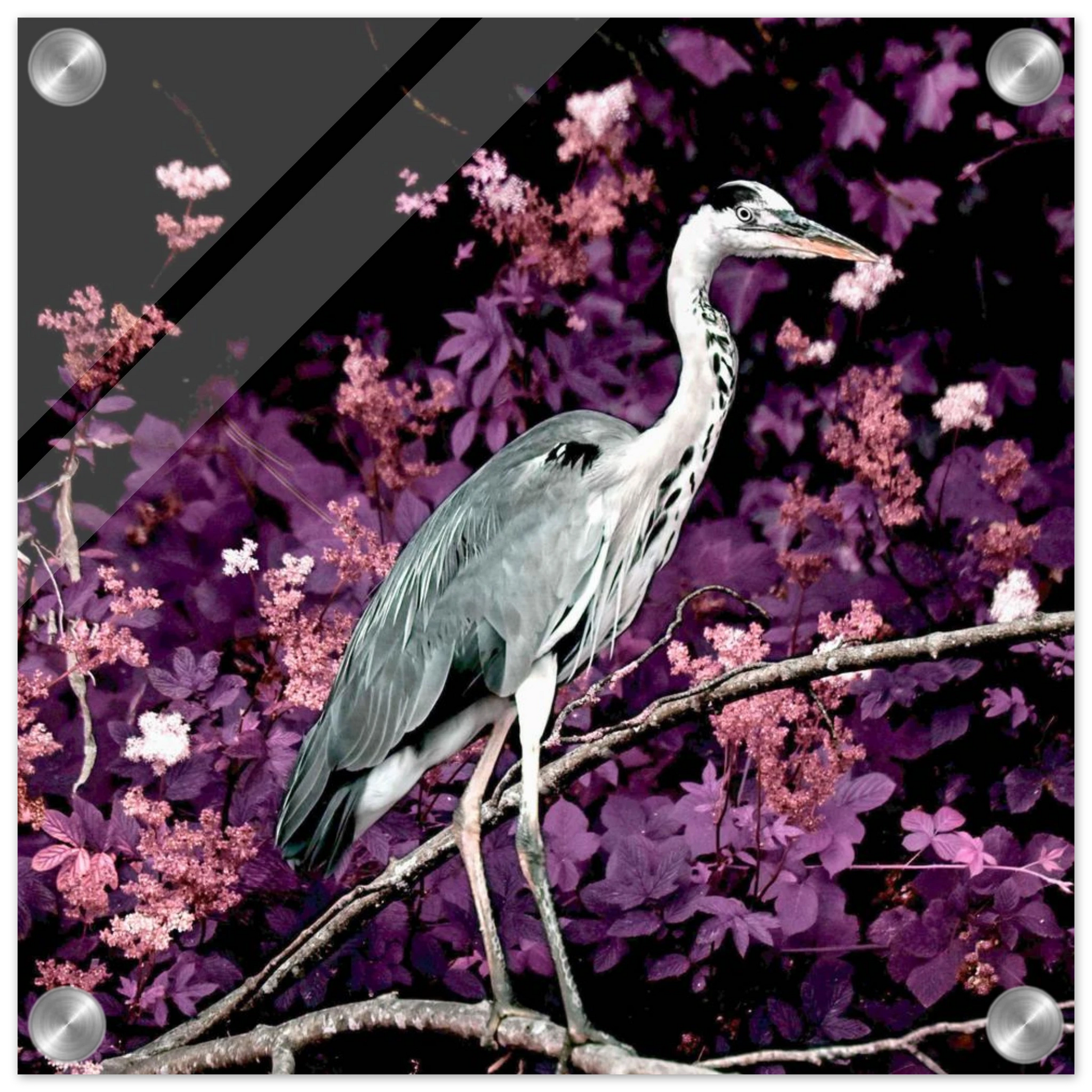 9121c20a-c794-49d0-9489-89fcd6c719d2