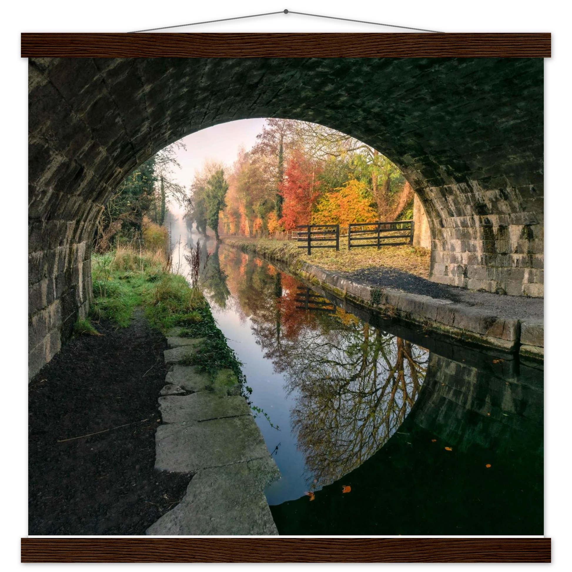 917d99a6-1be5-48c0-bc39-198cebc60603