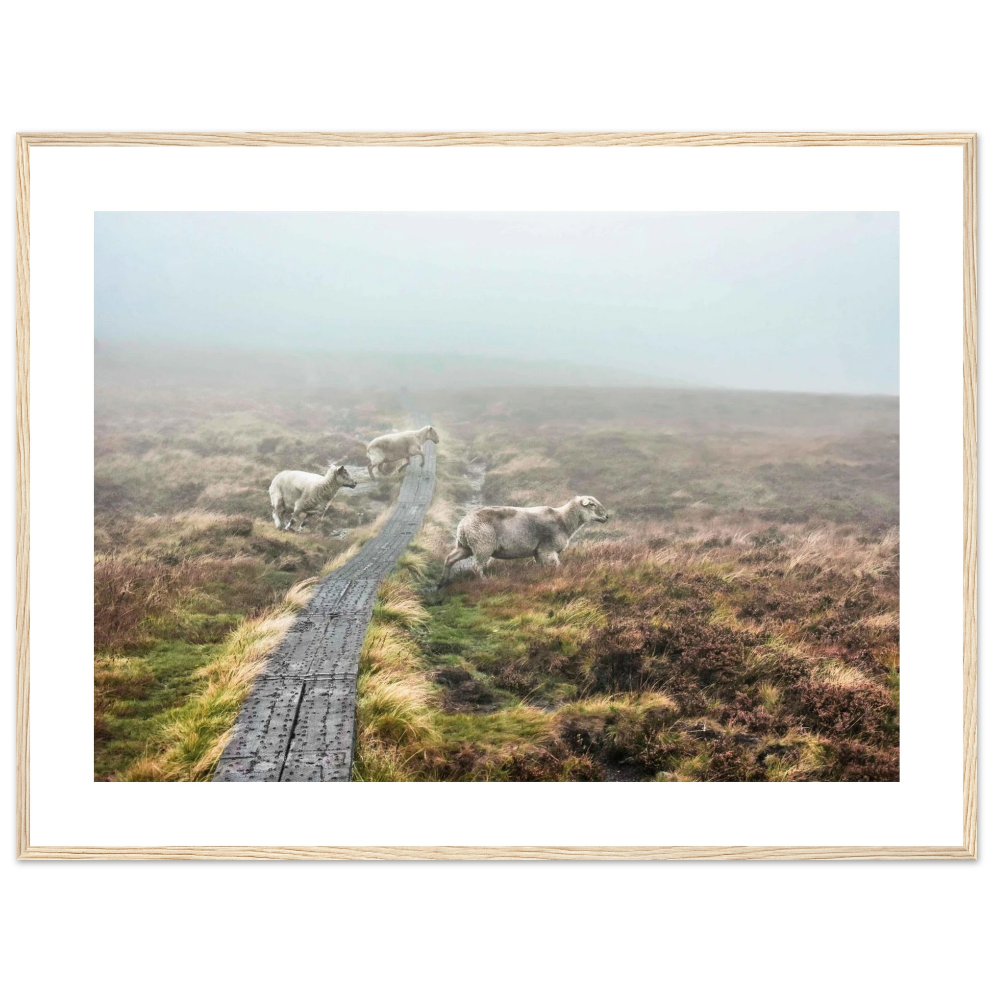 918fb19f-77ac-4643-a1da-b50cab304af8