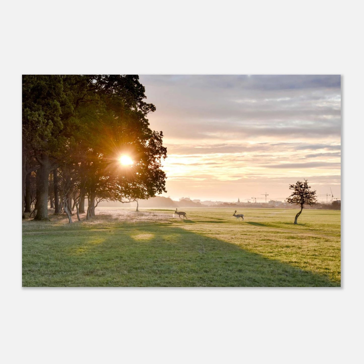 91a7e2c3-5a5d-4452-9eb0-7818cb719e28