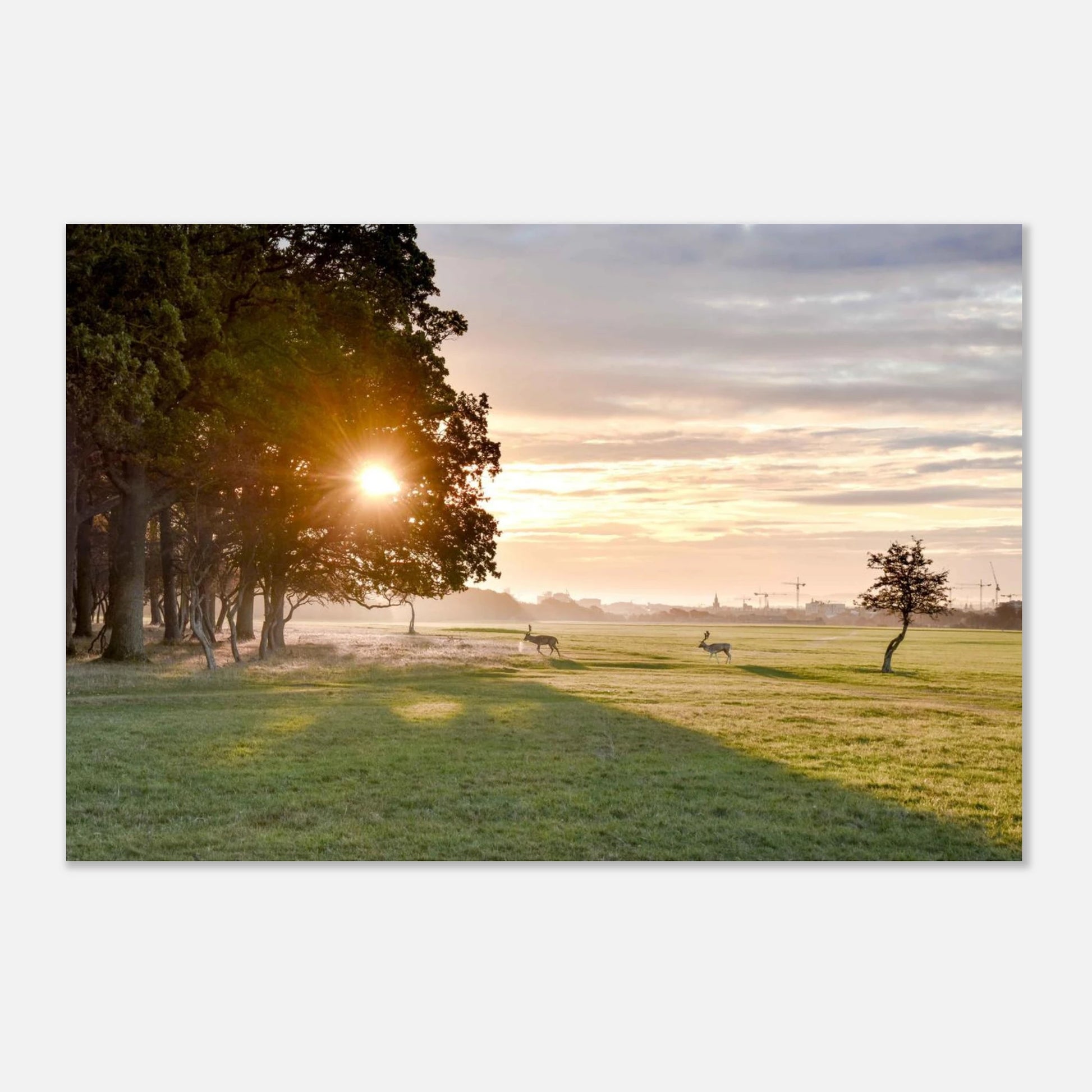 91a7e2c3-5a5d-4452-9eb0-7818cb719e28