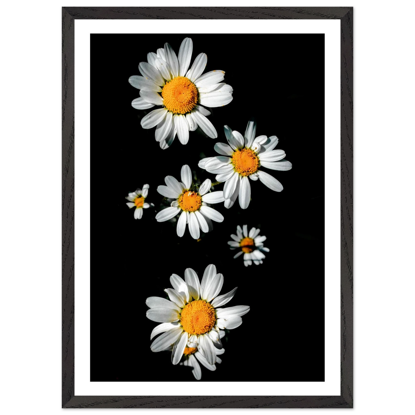 91fb45af-bae4-44cd-b1f9-99f3e6aff554