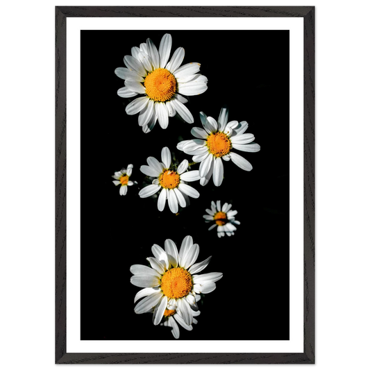 91fb45af-bae4-44cd-b1f9-99f3e6aff554