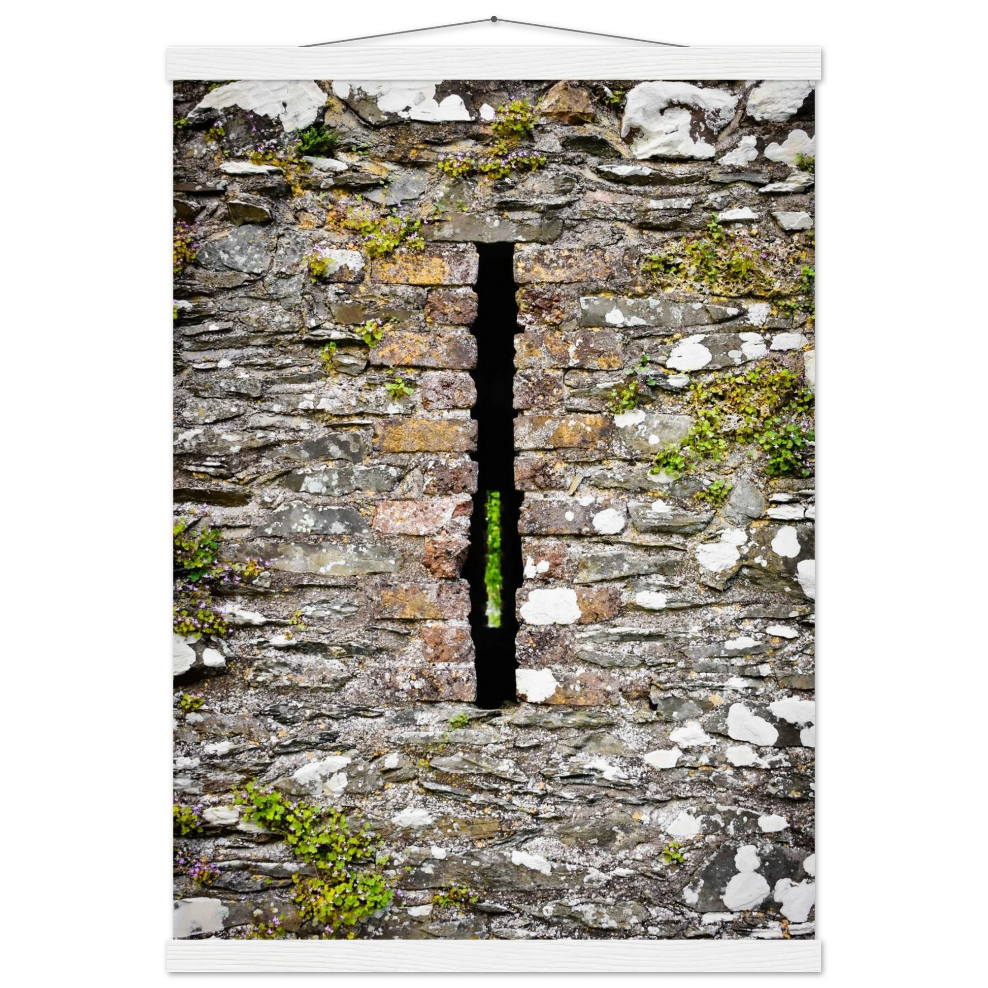 925d3346-3e5d-43ab-94c8-69cccb03b873