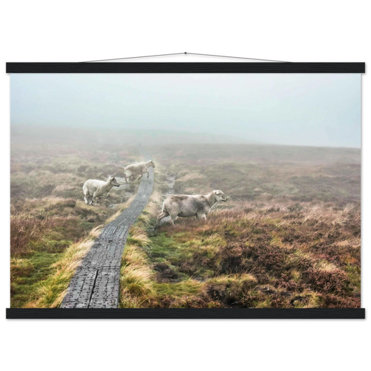 9290adad-9b7c-4d39-ac23-621103bdb85c