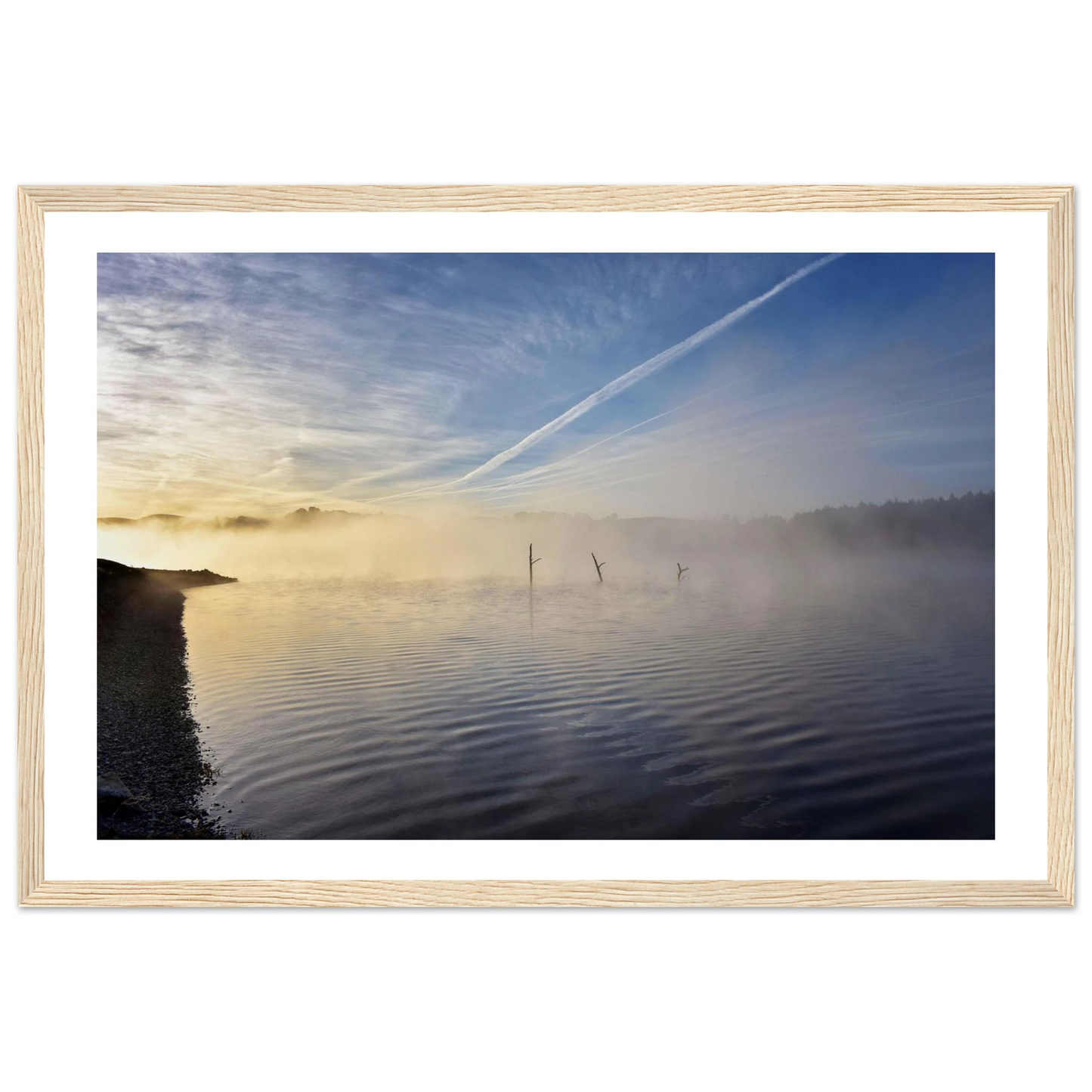 932d6bbb-664a-4e2f-bd27-e711b2ef1d85