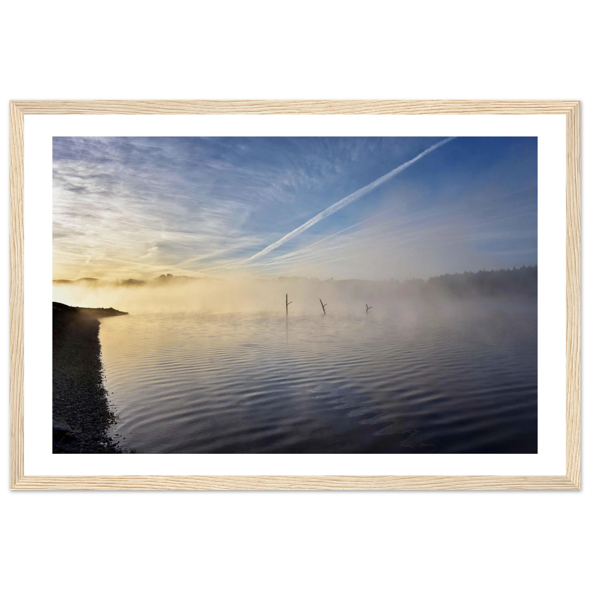 932d6bbb-664a-4e2f-bd27-e711b2ef1d85