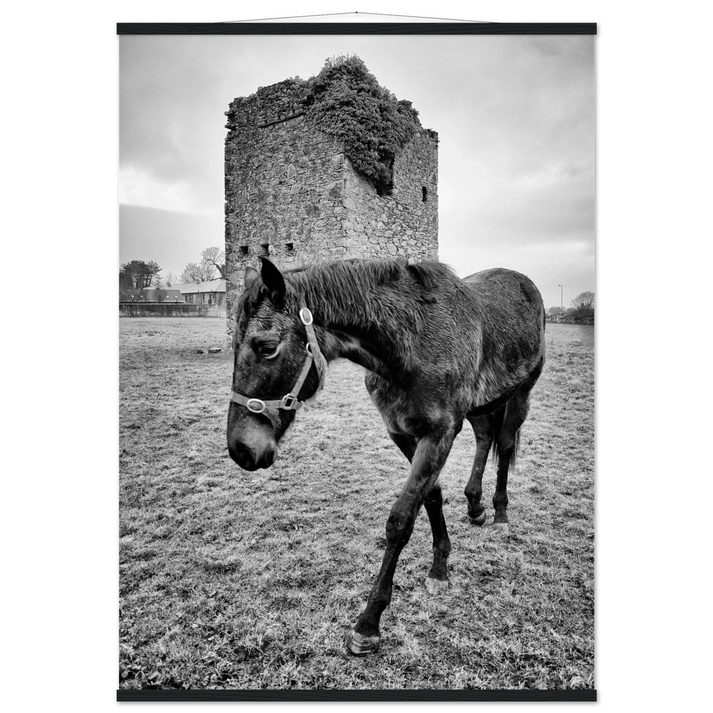 934601f9-4b7b-437c-bfec-146feaa538fb