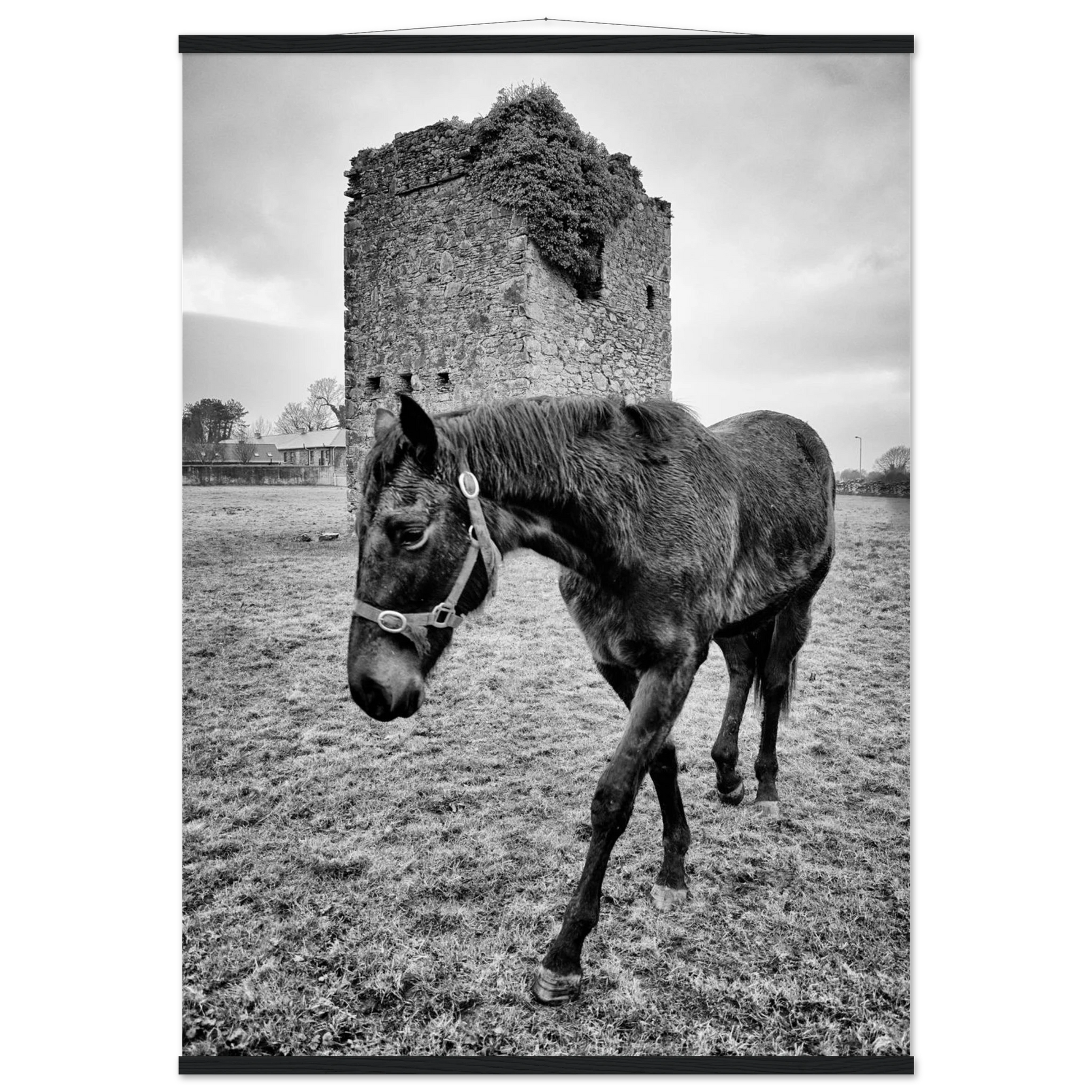 934601f9-4b7b-437c-bfec-146feaa538fb