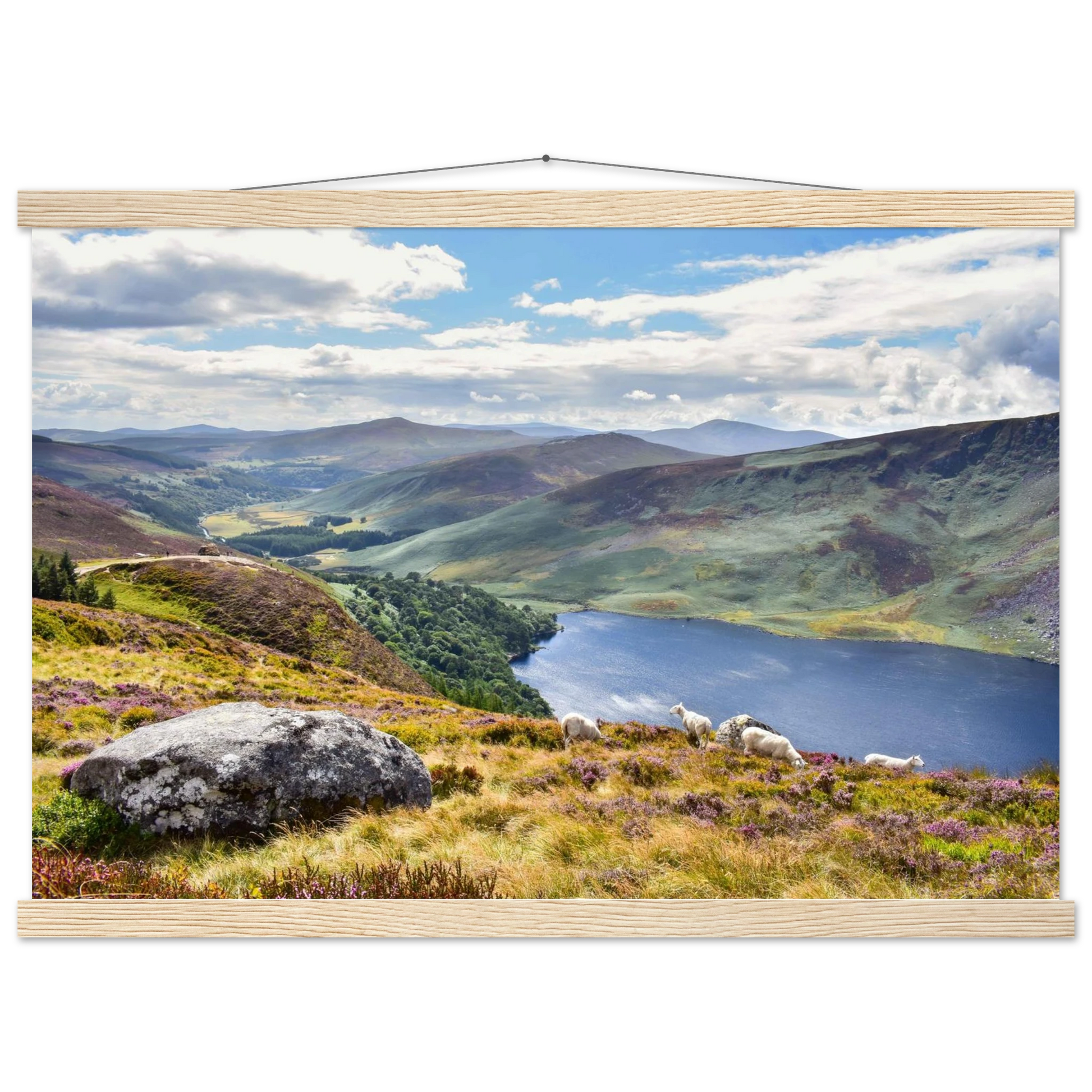 93653ad7-34e7-4df0-81a8-b6ff09ca0024