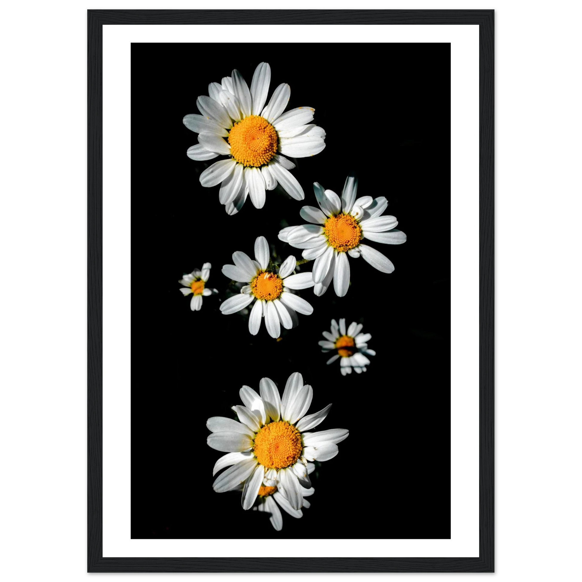 939c01af-5349-43c1-acc6-0bdba5551a86