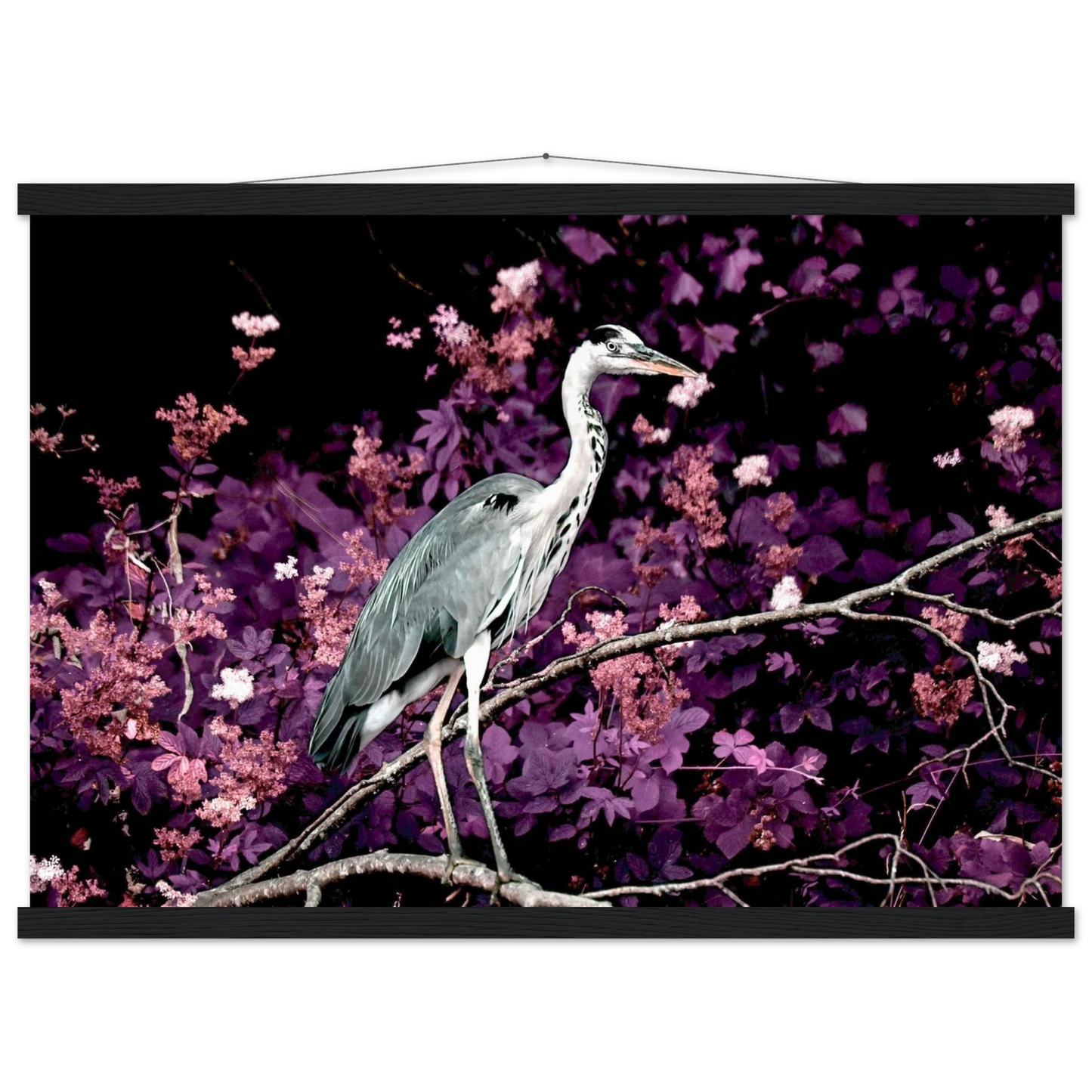 93d5a86c-0f86-4c69-bf2f-0c6c18dfd20e