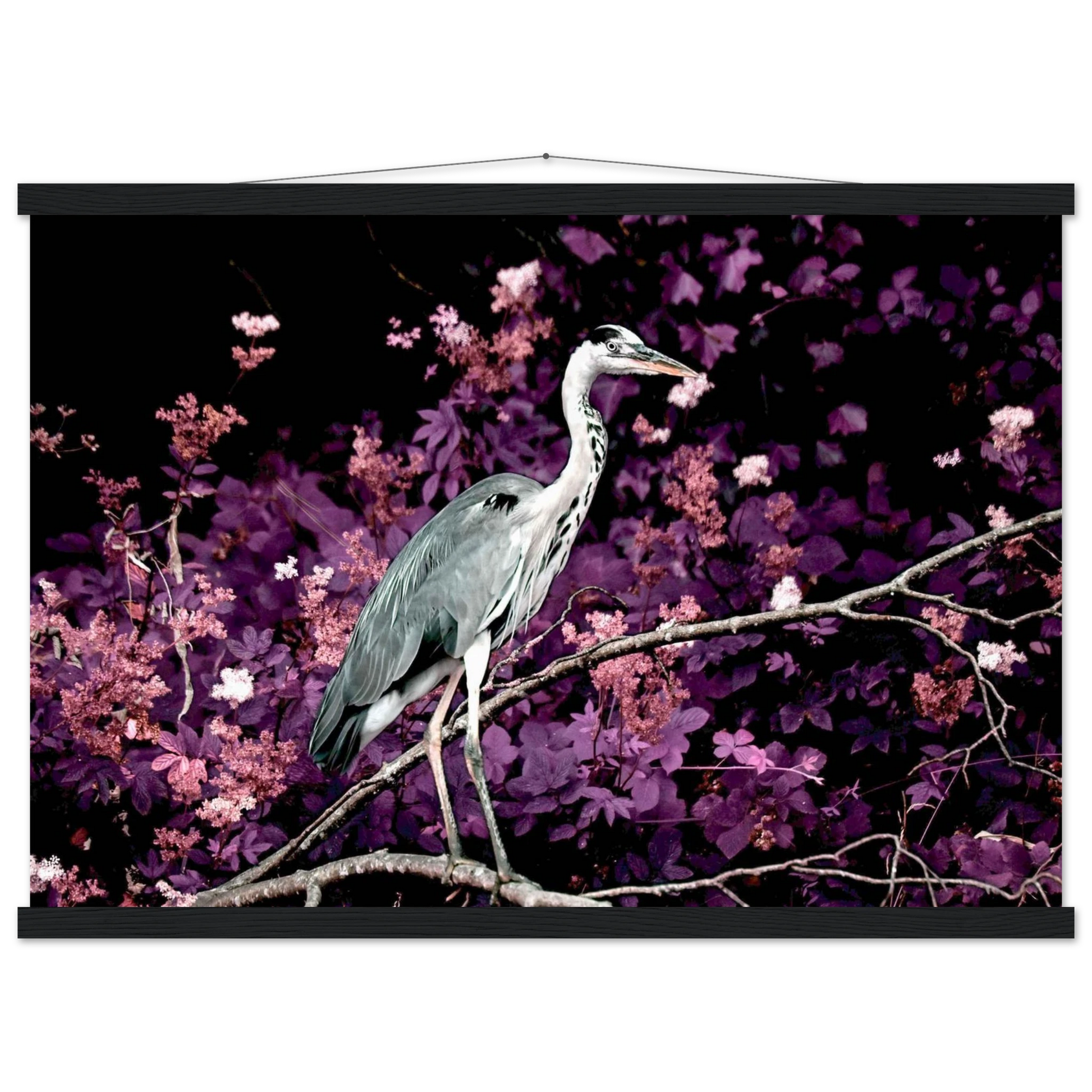 93d5a86c-0f86-4c69-bf2f-0c6c18dfd20e