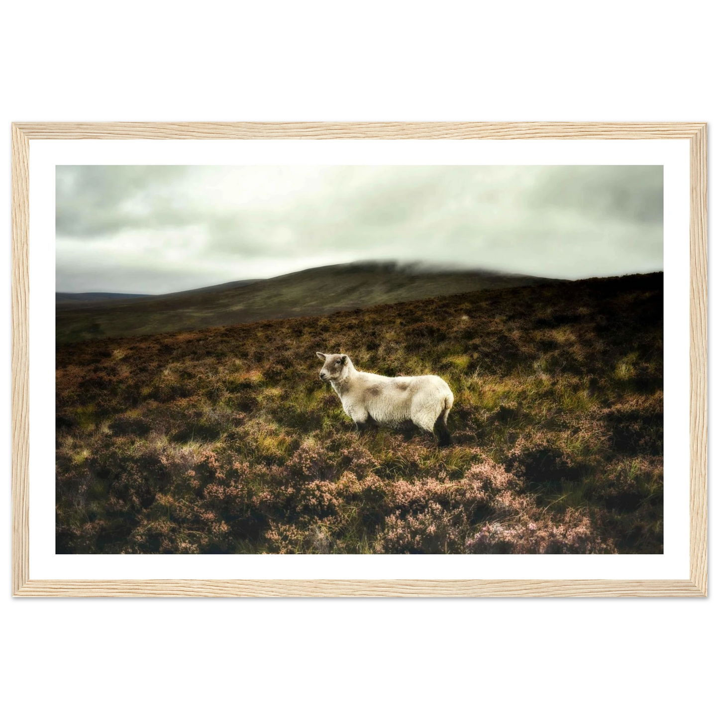 942e3875-2469-4242-beec-9fa3cb28fb56