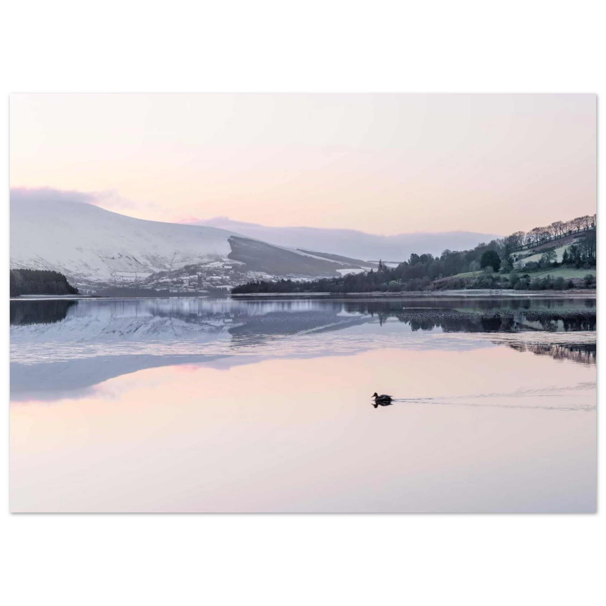 9437152d-fd23-4fb9-97c2-854d9d7550ad