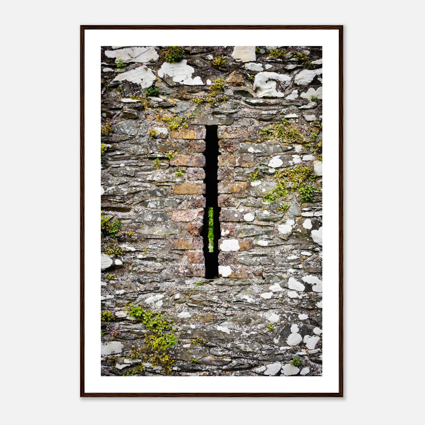 9448a52d-930b-4532-94f5-0310362b55db