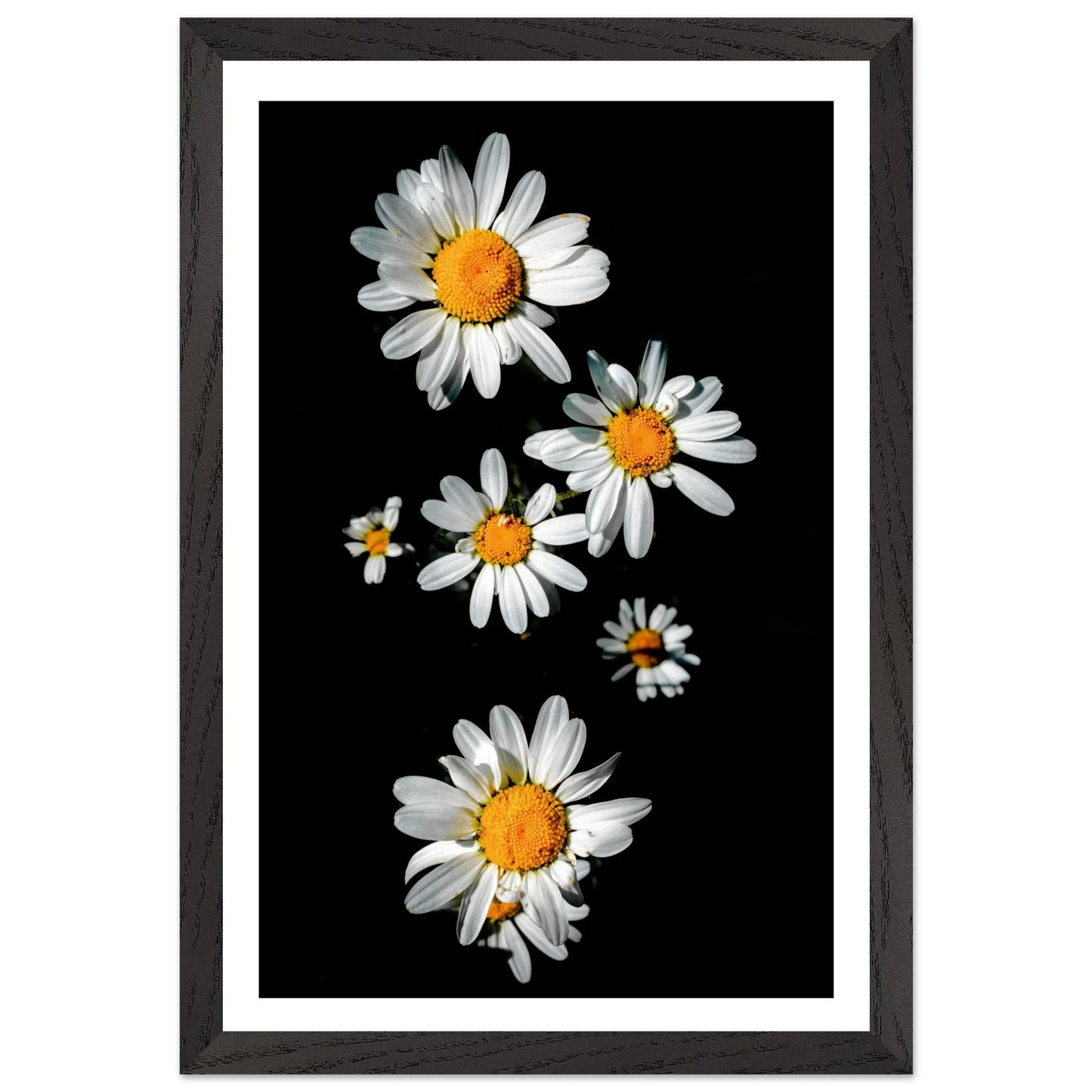 9459fb01-be79-4c89-b5cb-d0e842045cf6