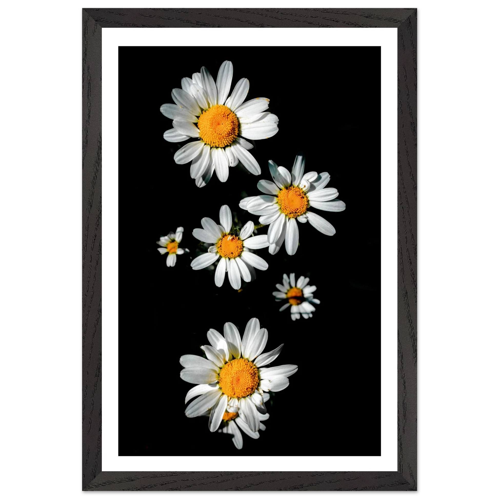 9459fb01-be79-4c89-b5cb-d0e842045cf6