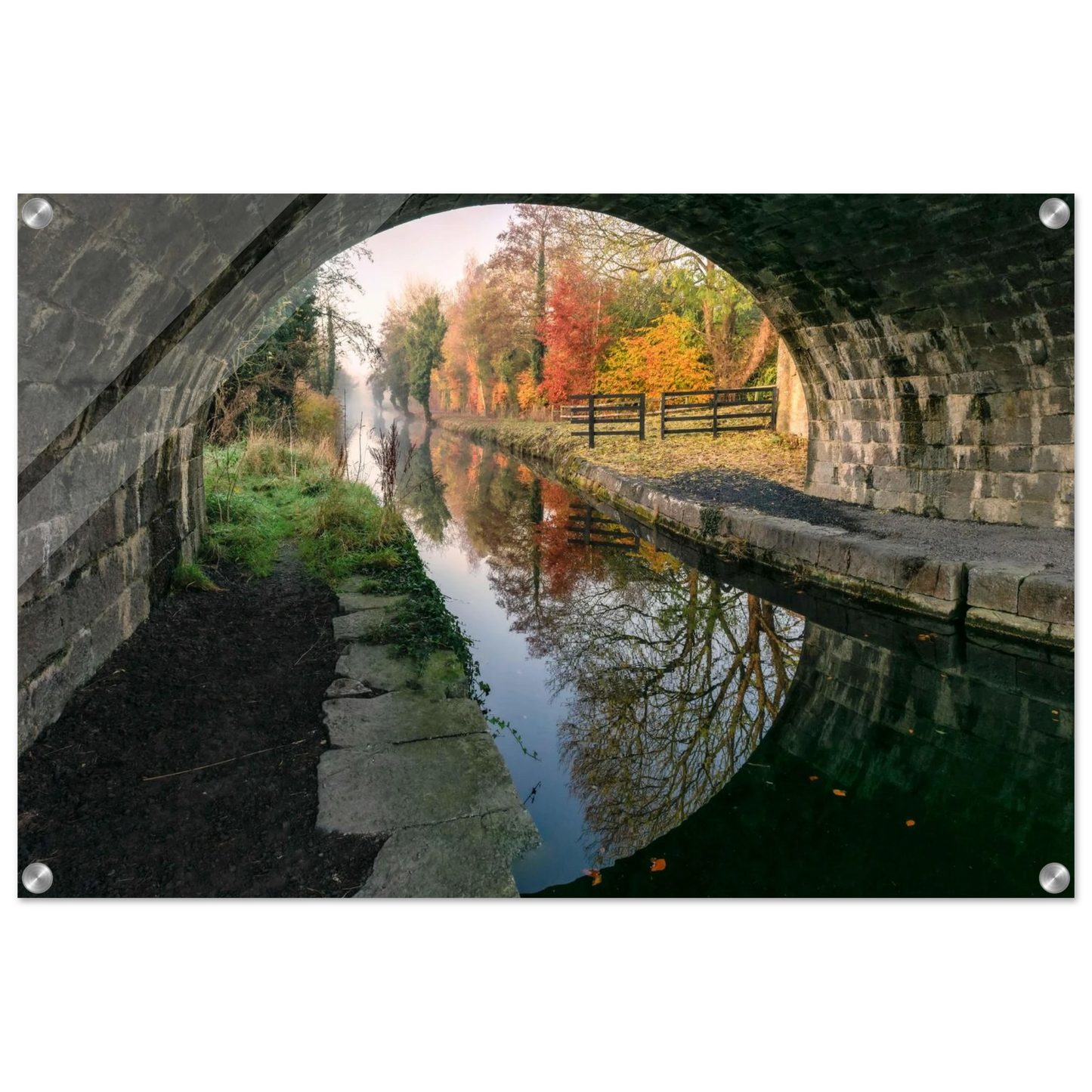 94f8fe00-8cfd-44c9-a774-3a17a192b698