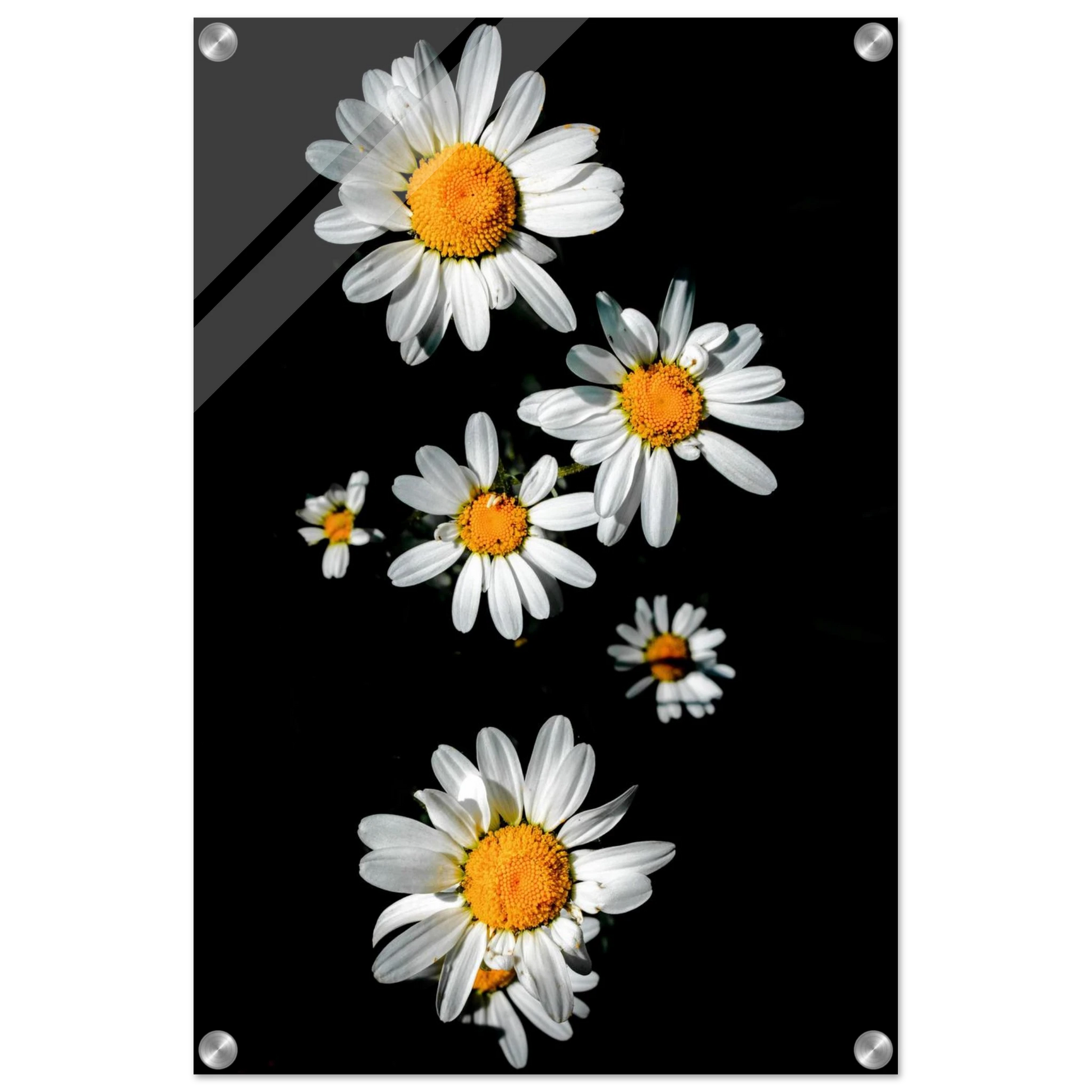 95435982-42d9-4478-9228-d7e19f691b04