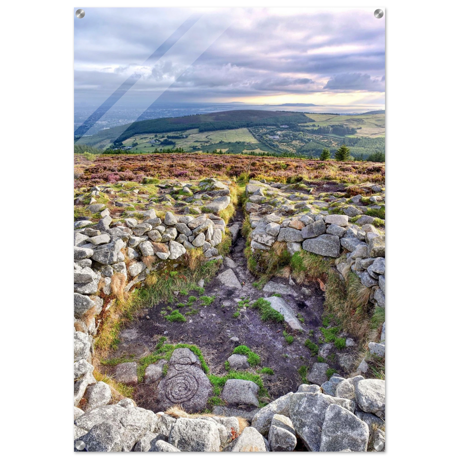 957484fe-2b18-46de-af6b-293e6ce468e5