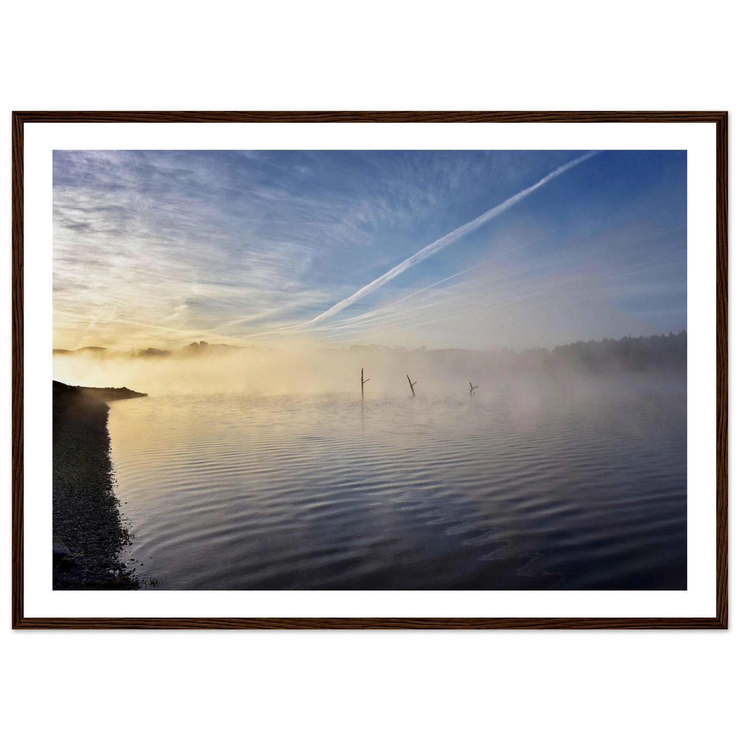 95b27389-7940-42a6-807c-c327c7dc59d4