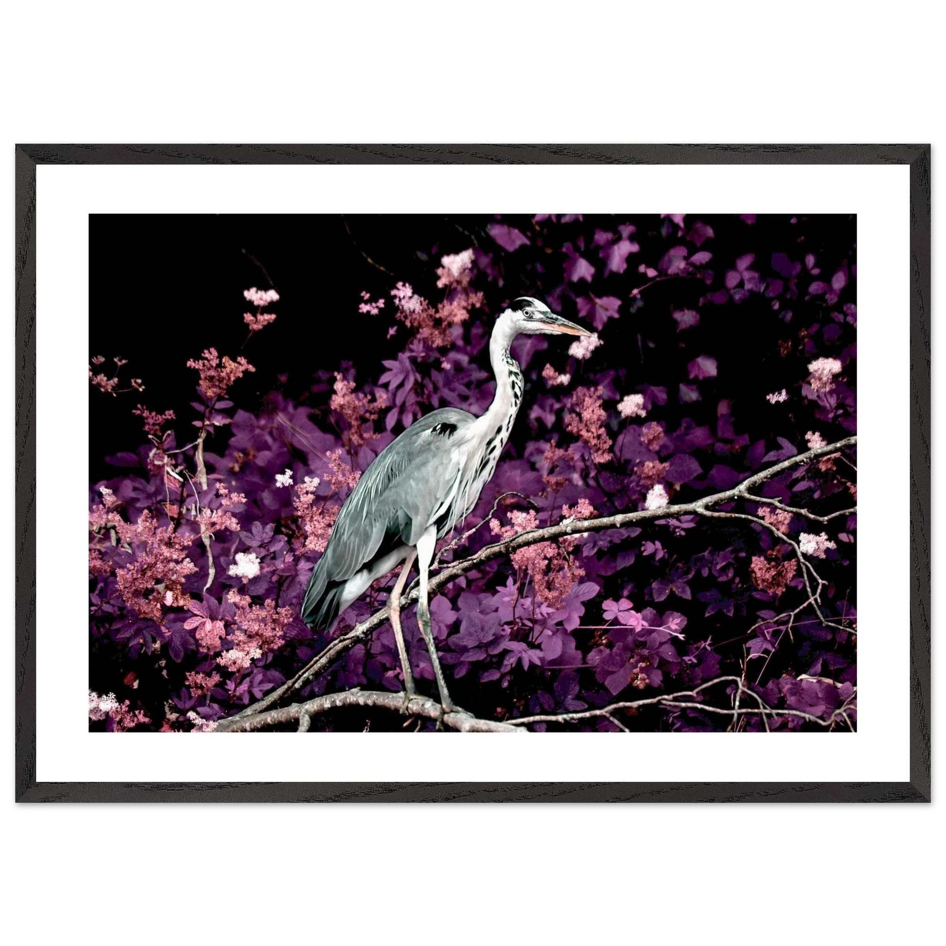 9618729e-4707-44ab-9413-7546f7a375bb