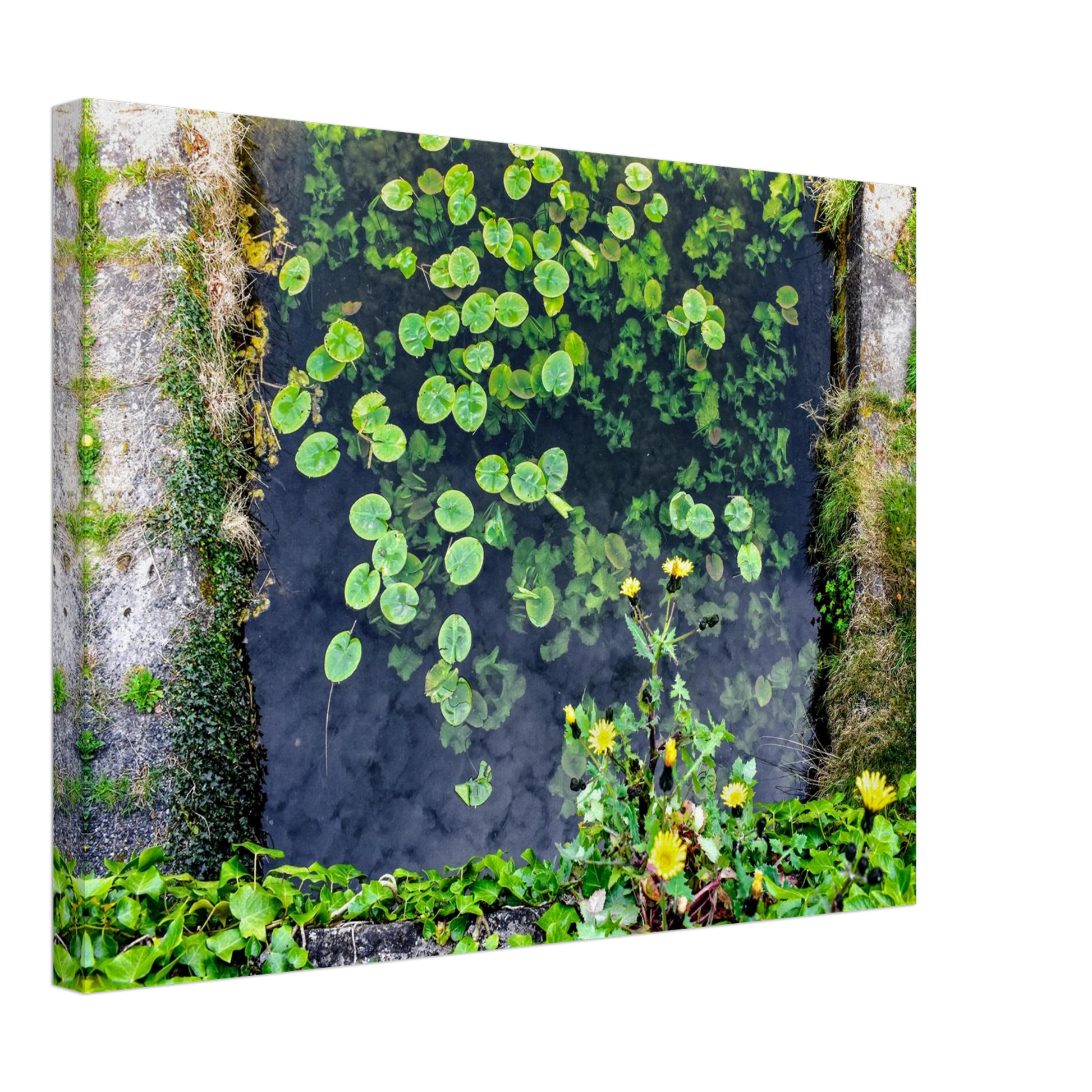 96264673-f9f9-40dd-b540-ef3f930147f1