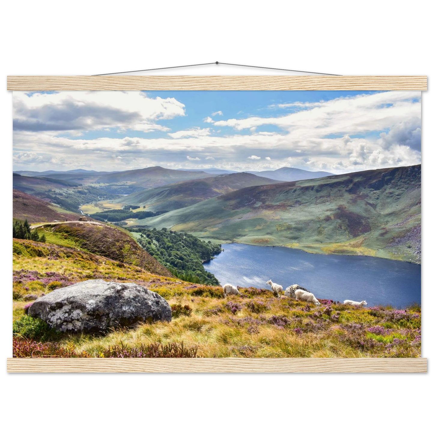 96a847ac-48f2-42ca-9fdf-d36f9cf8568f