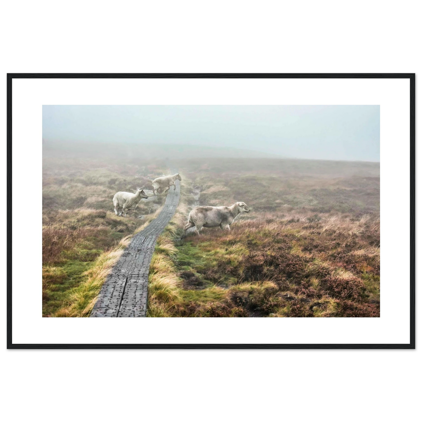 96e750a6-d0e1-48f7-9f9d-8be5c48a2304