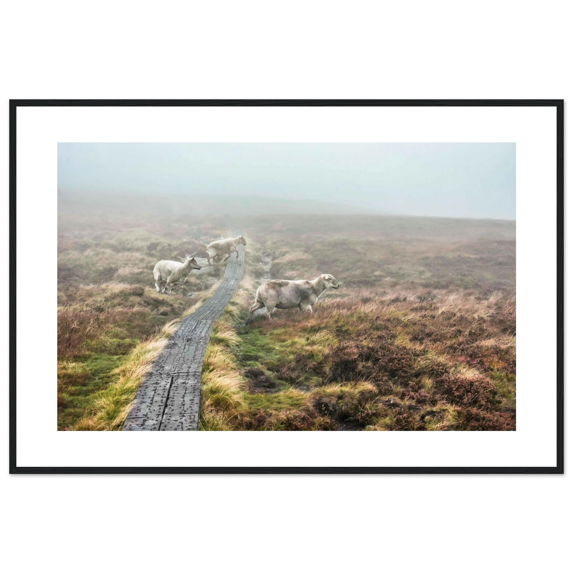 96e750a6-d0e1-48f7-9f9d-8be5c48a2304