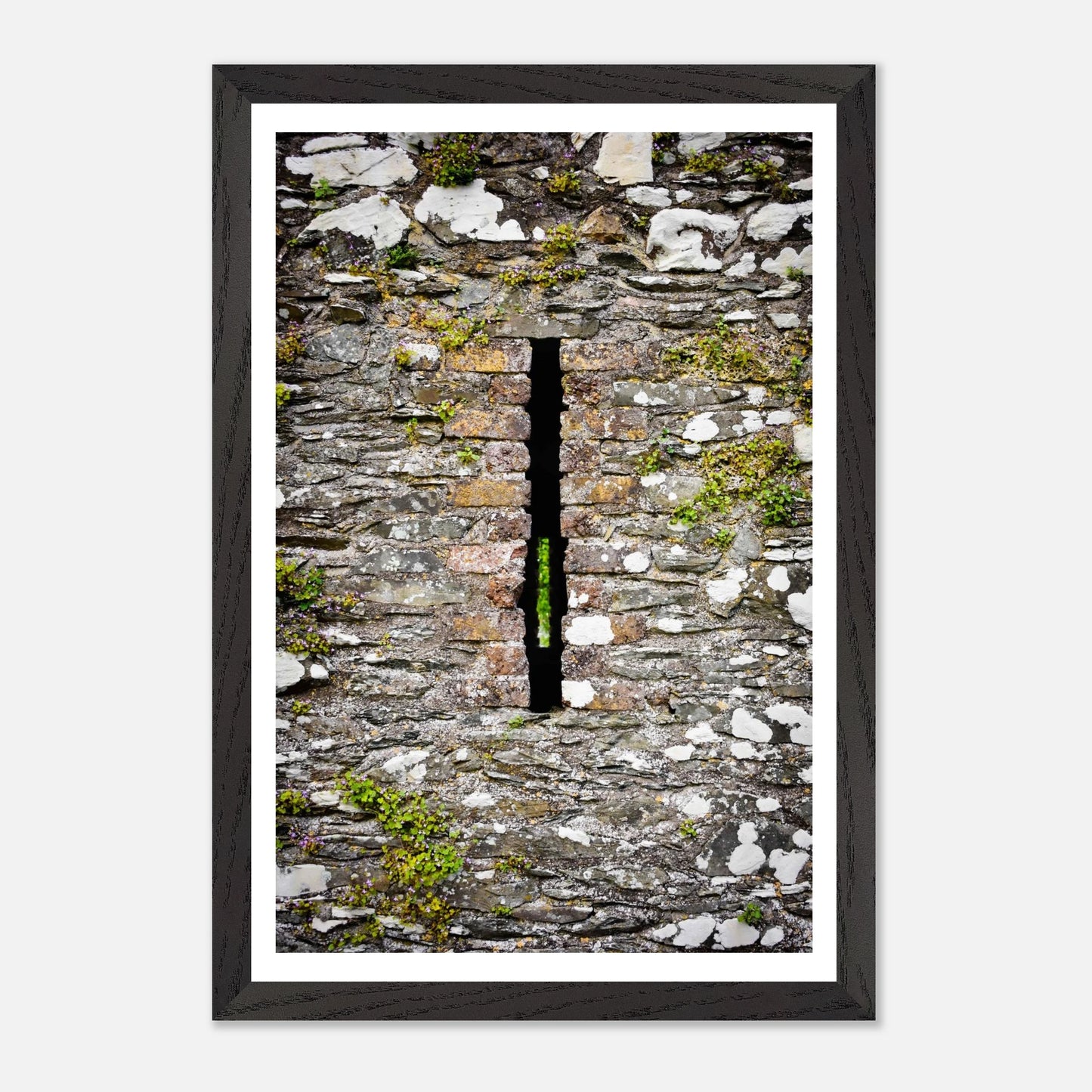 970b17db-d9c0-4bbc-bb31-4f452caf07d3