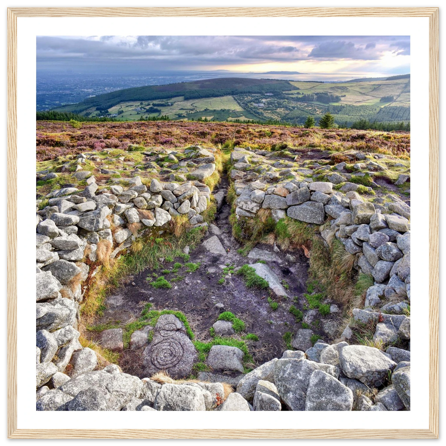 97c000c8-ba21-4f43-8de2-fe6a289799eb