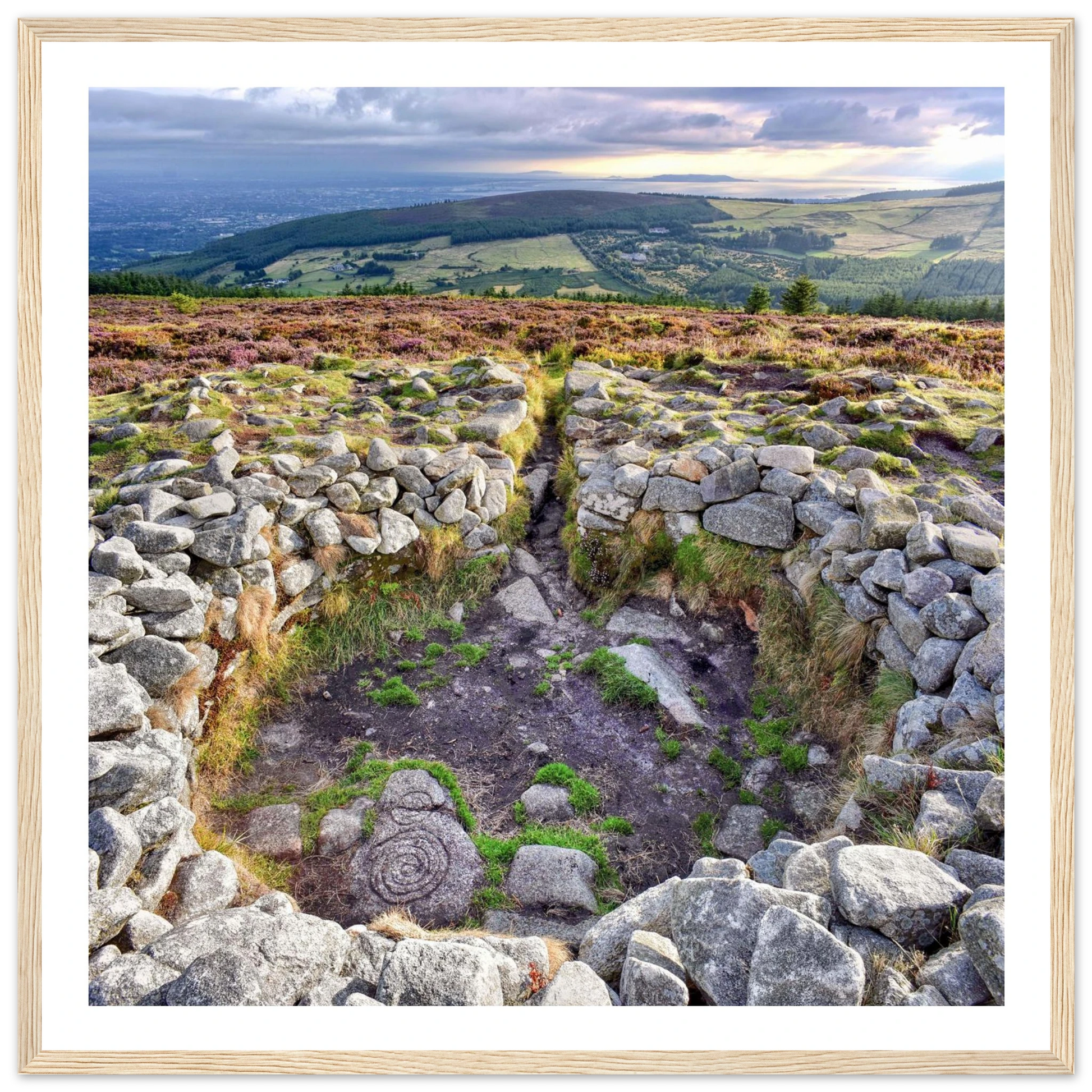 97c000c8-ba21-4f43-8de2-fe6a289799eb