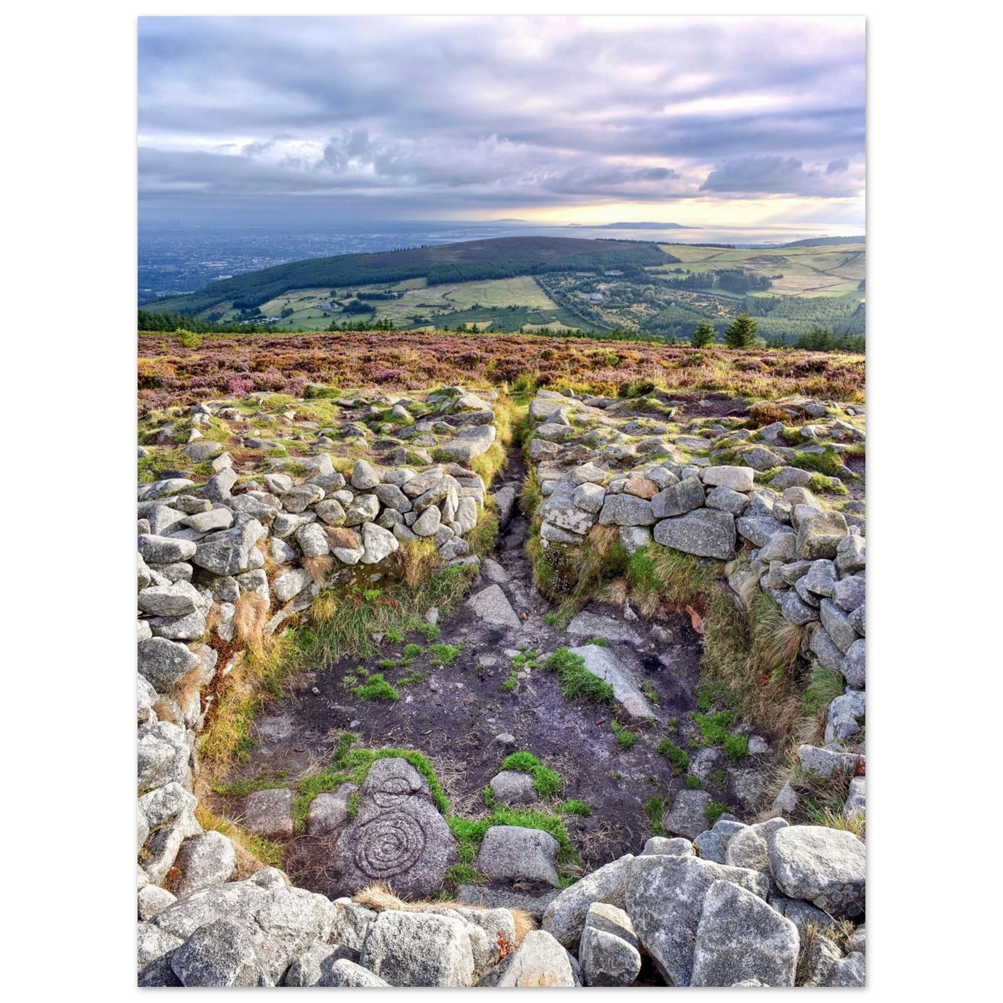 97e8b4bc-8ec2-4d11-bdce-3d6a153fdbe8