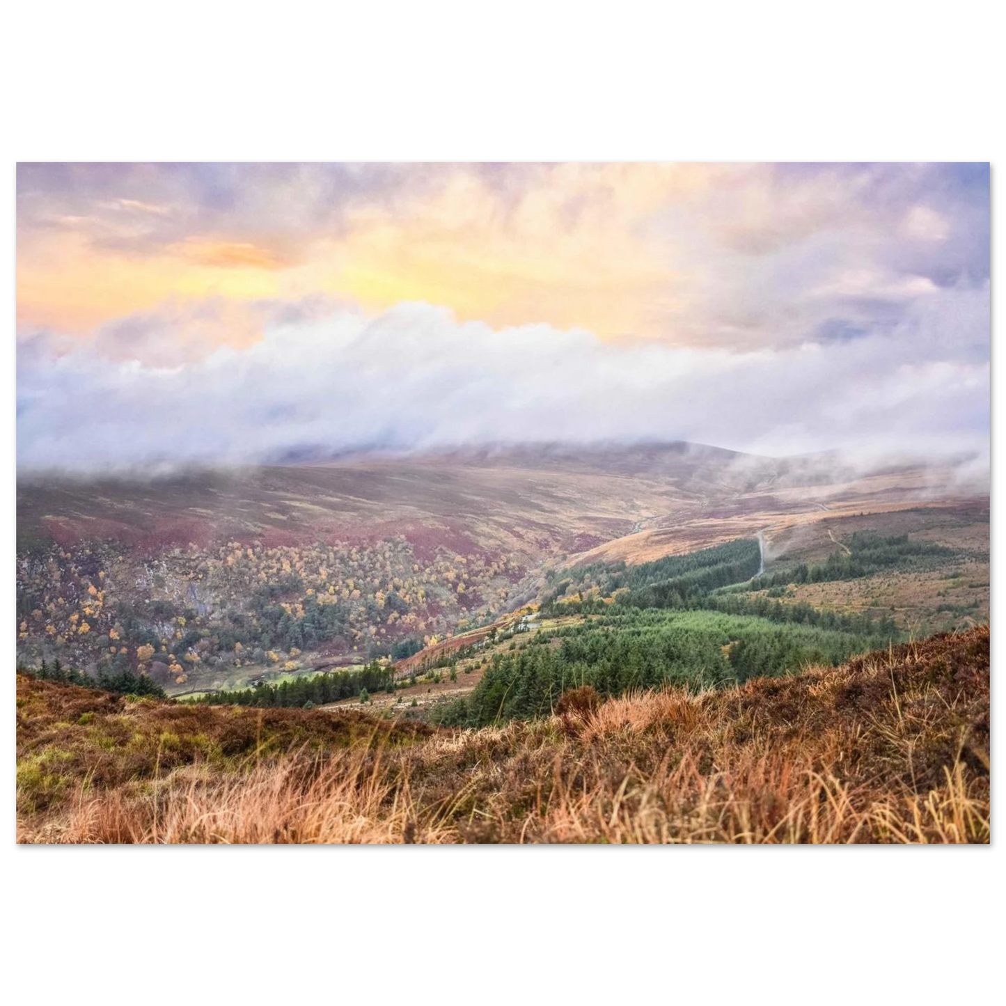 980b1eea-aba0-4428-927e-42b678762185