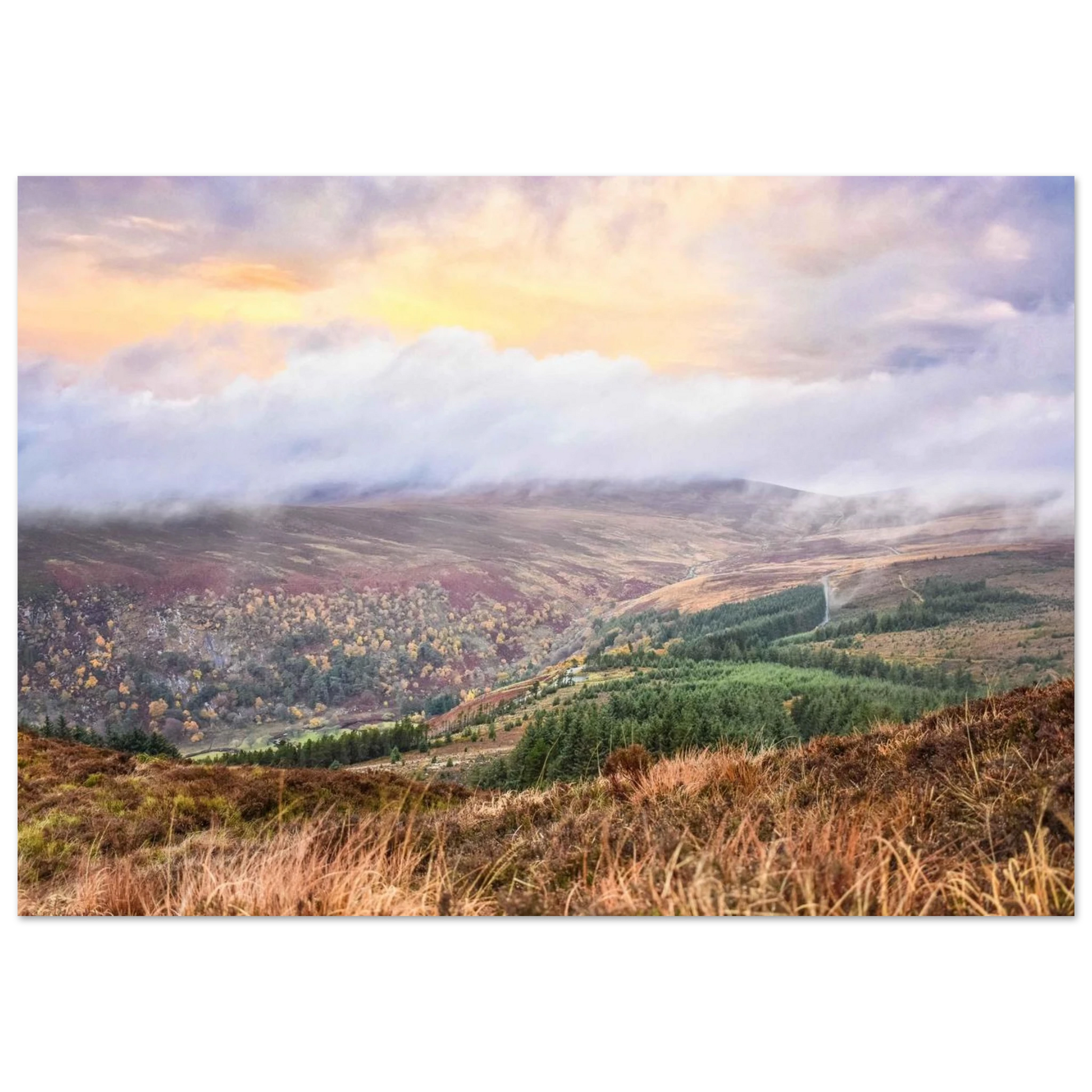 980b1eea-aba0-4428-927e-42b678762185