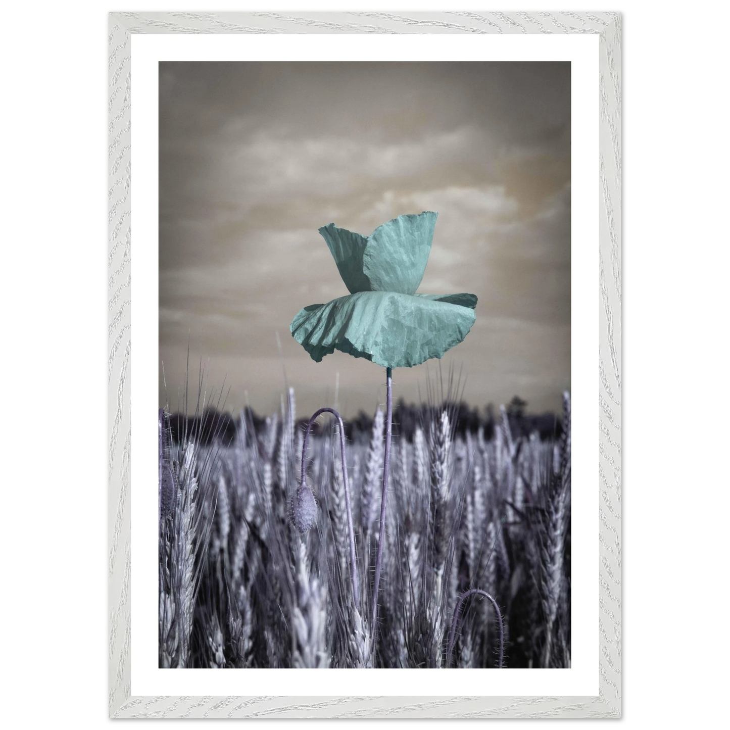 989c7d97-04af-4532-aadd-bb0e6d2cbe70