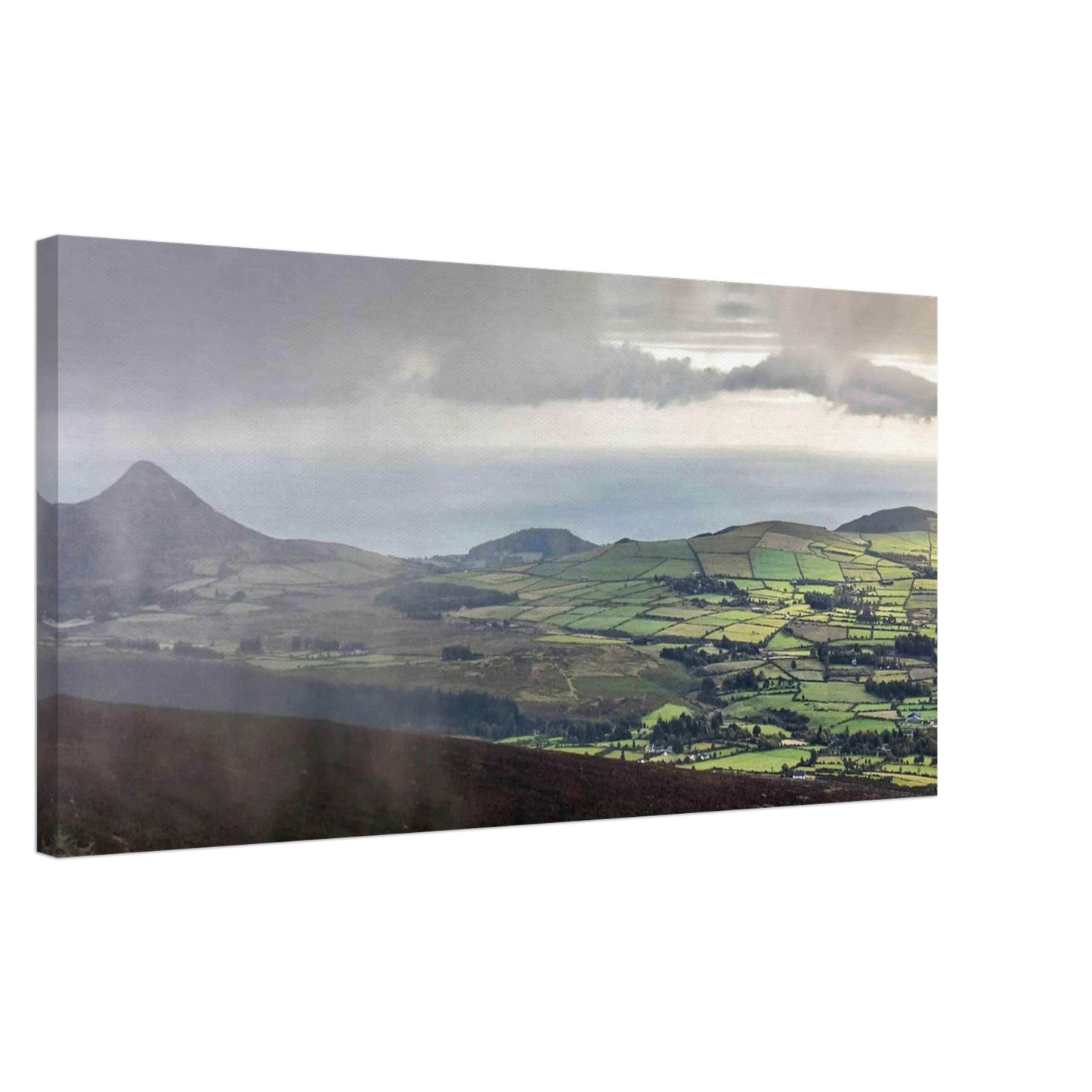 98c393d6-a8c5-47d6-8565-96611ebd1b2b