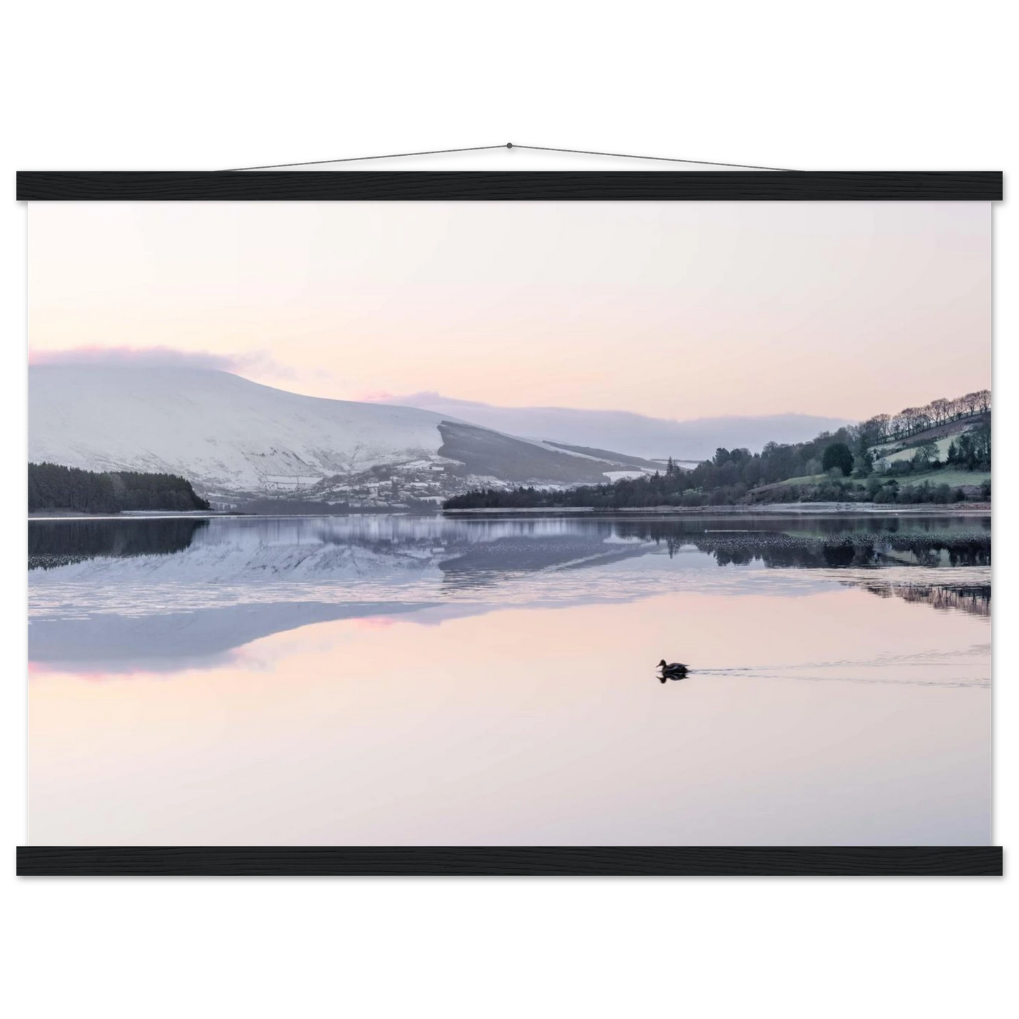 98d4cc74-ccda-4faf-98d8-164c3ea5d488